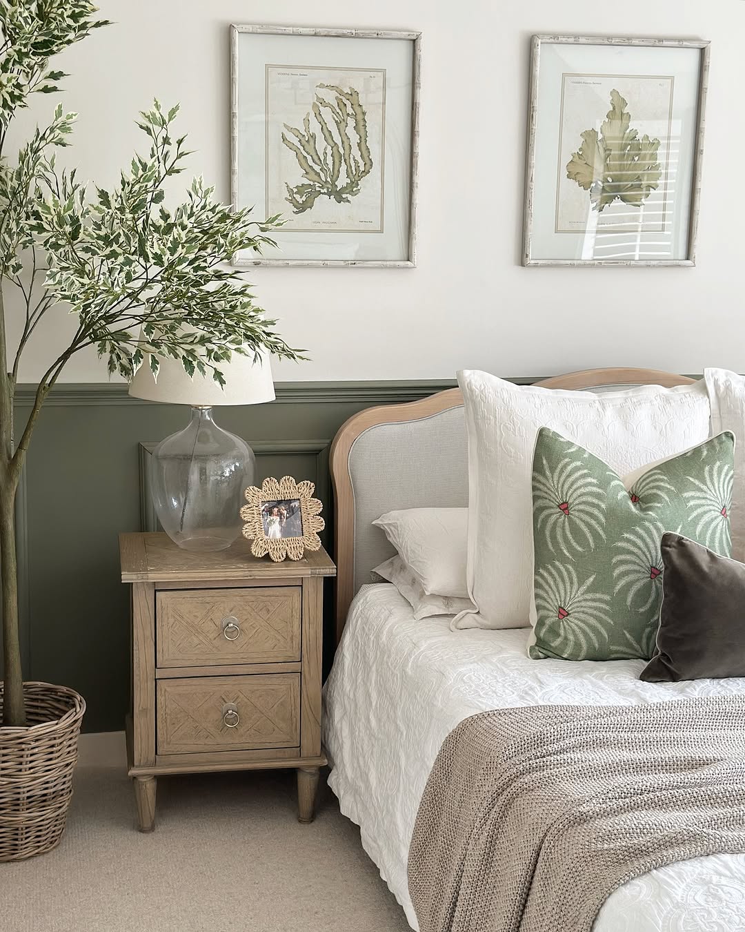 Ormington Set of 6 Aloe and Algae Framed Prints