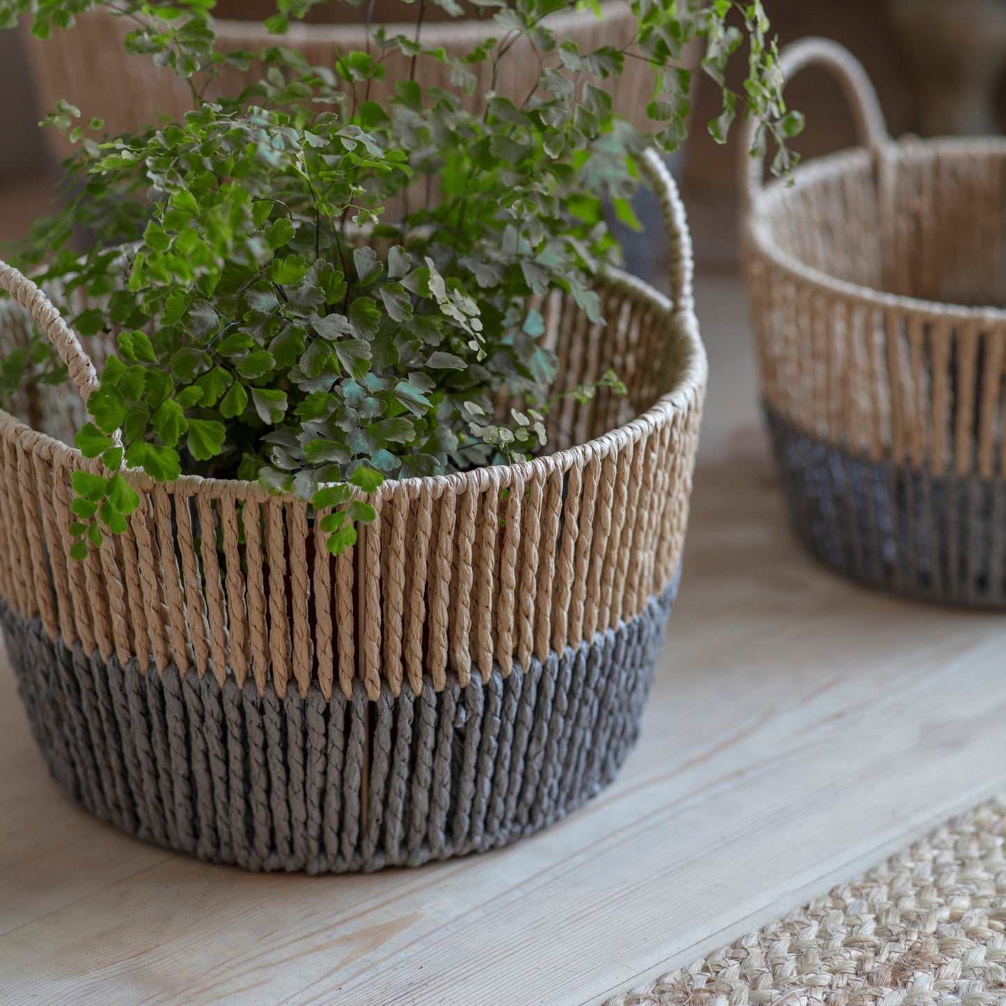 Woodleigh Set of 3 Two-Tone Baskets
