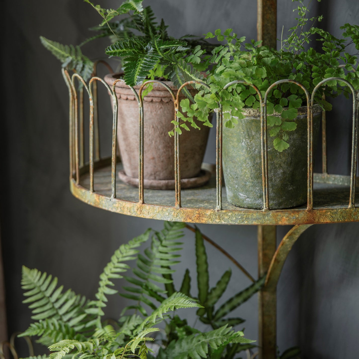Yarnton Large Tiered Plant Stand