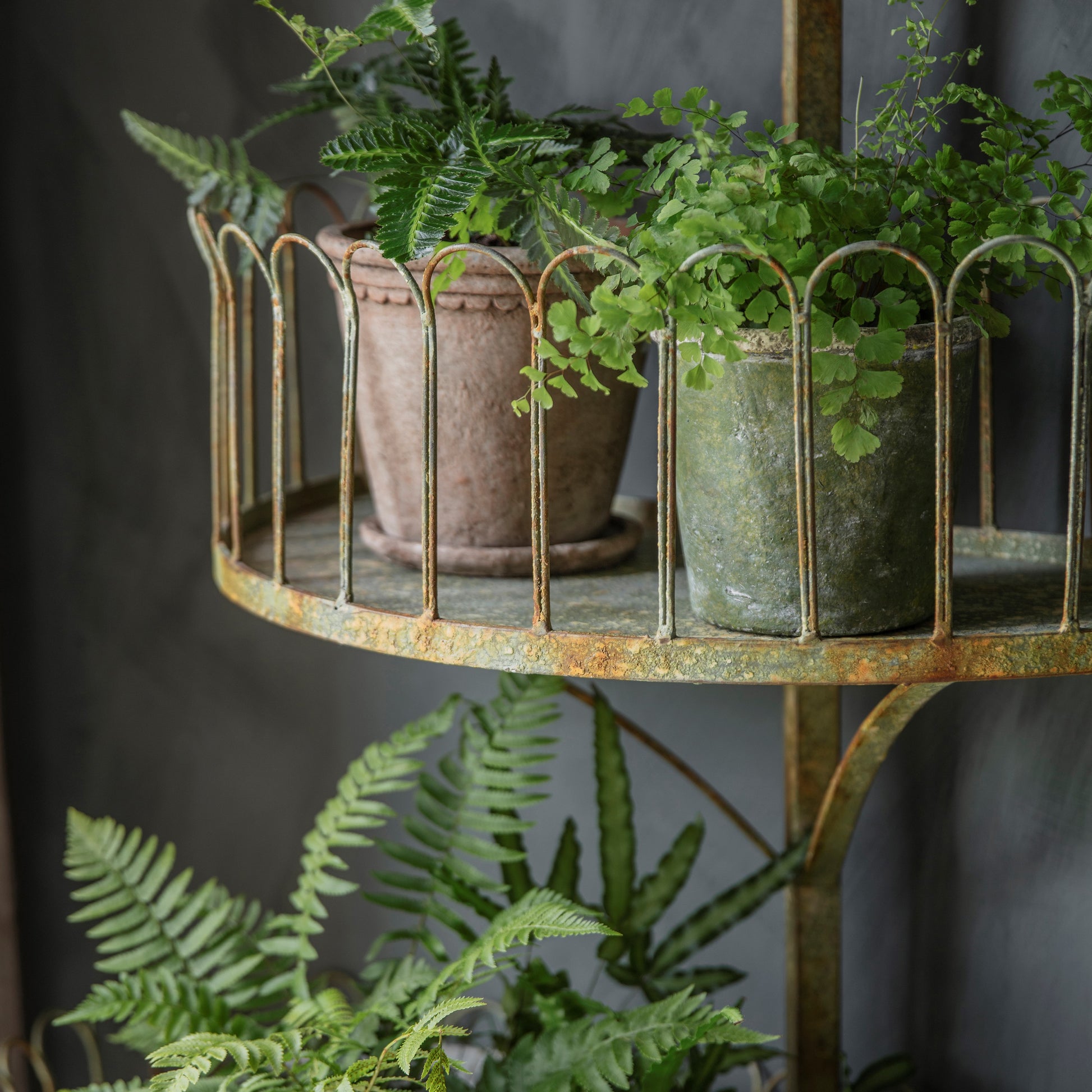Yarnton Large Tiered Plant Stand