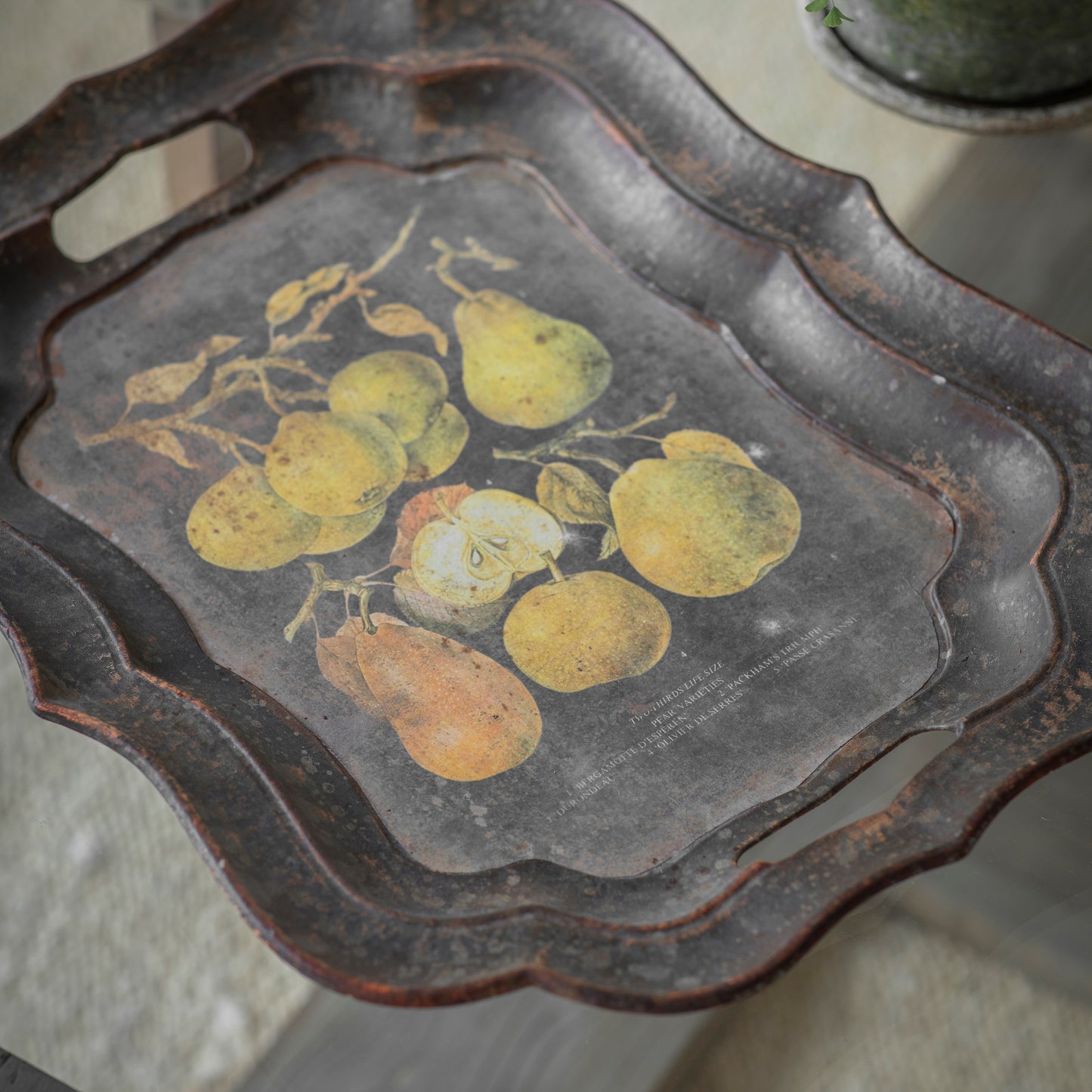 Clayton Decorative Fruit Tray