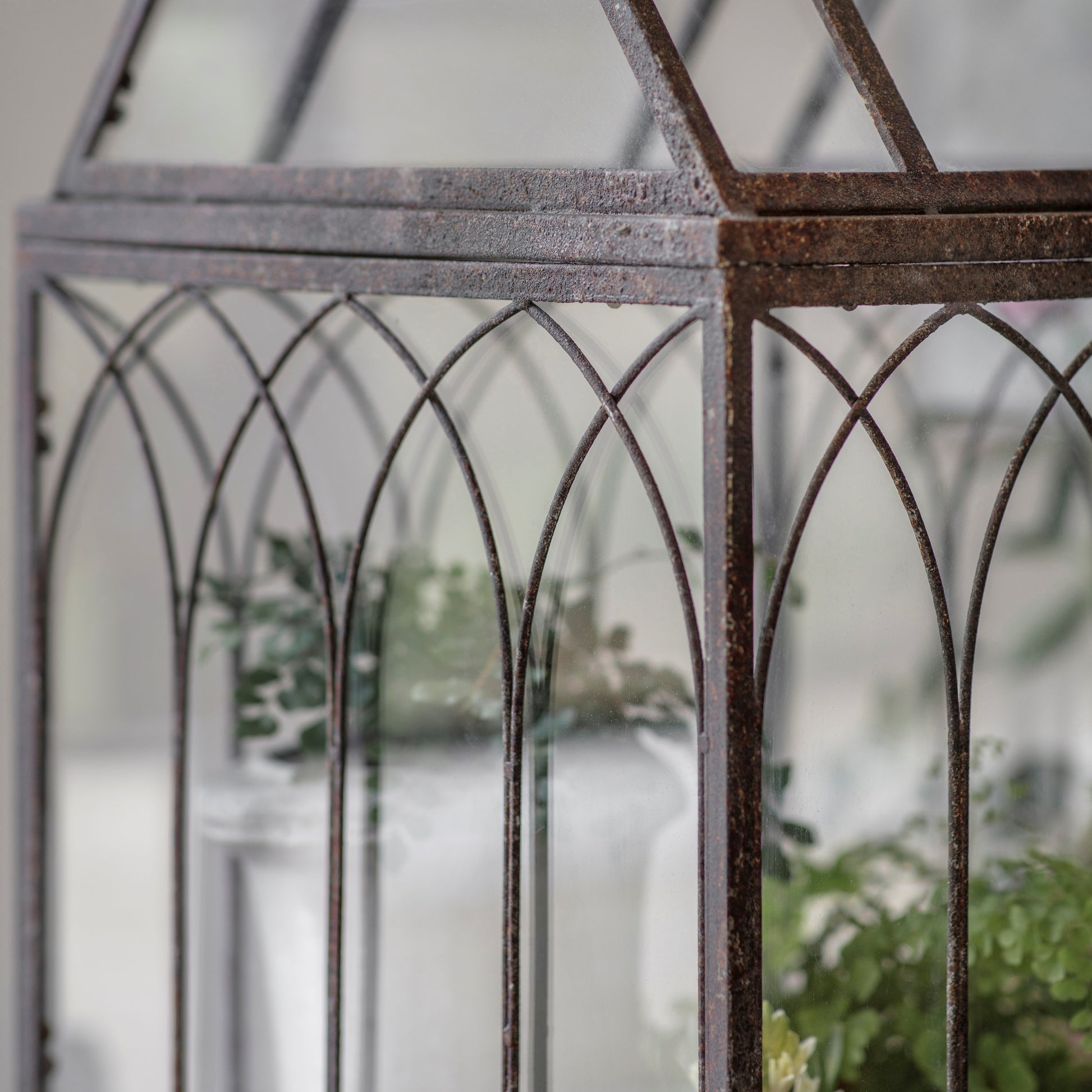 Petworth Indoor Greenhouse