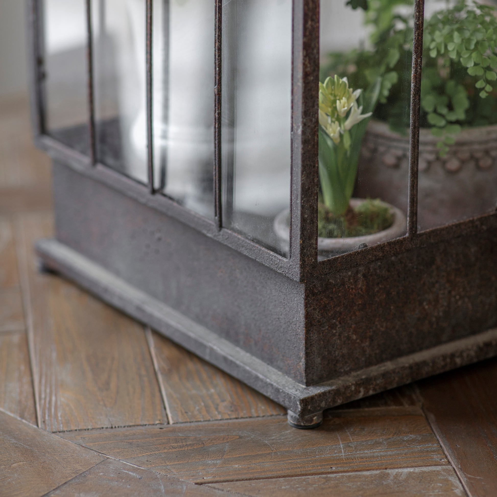 Petworth Indoor Greenhouse