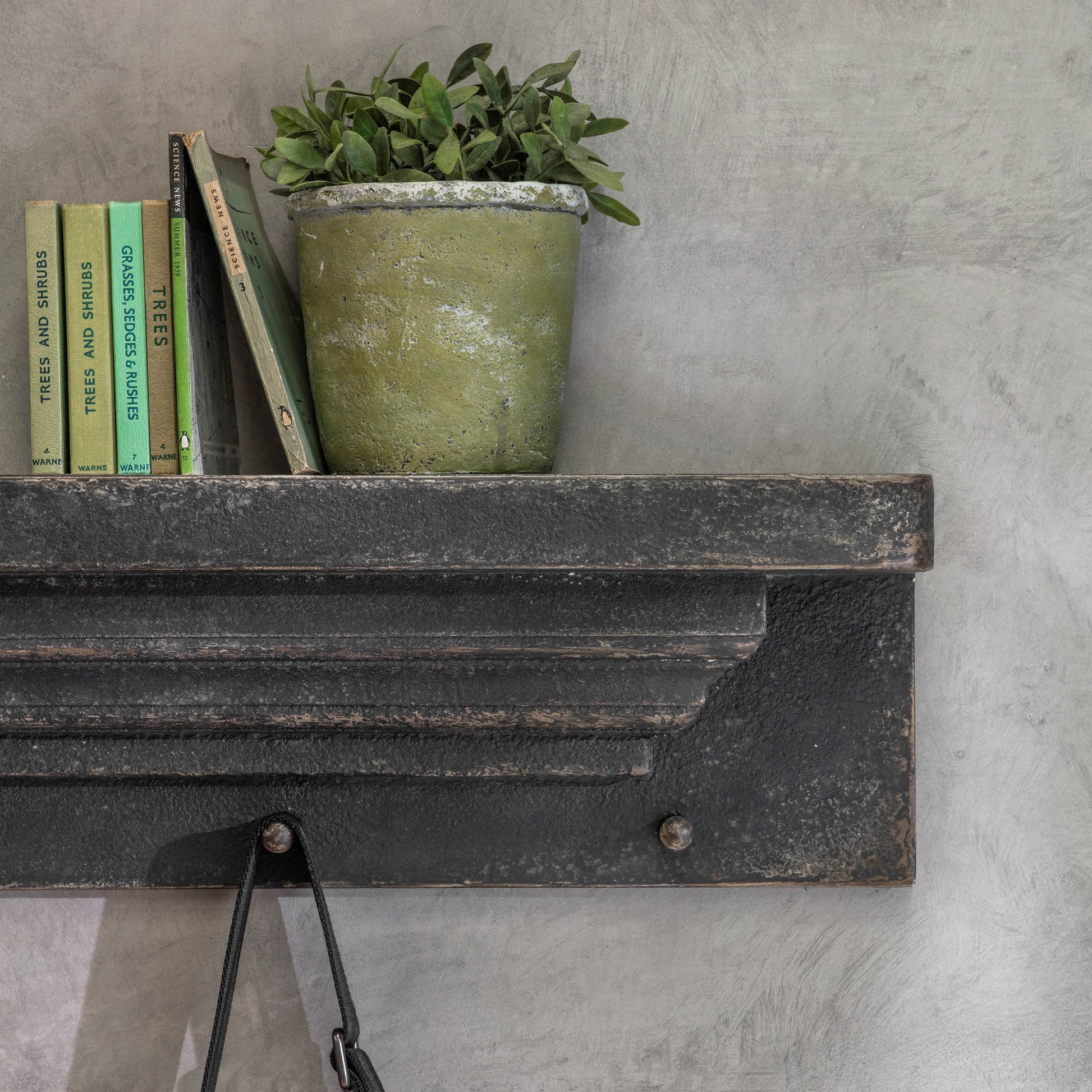 Clovelly Wall Hooks with Shelf