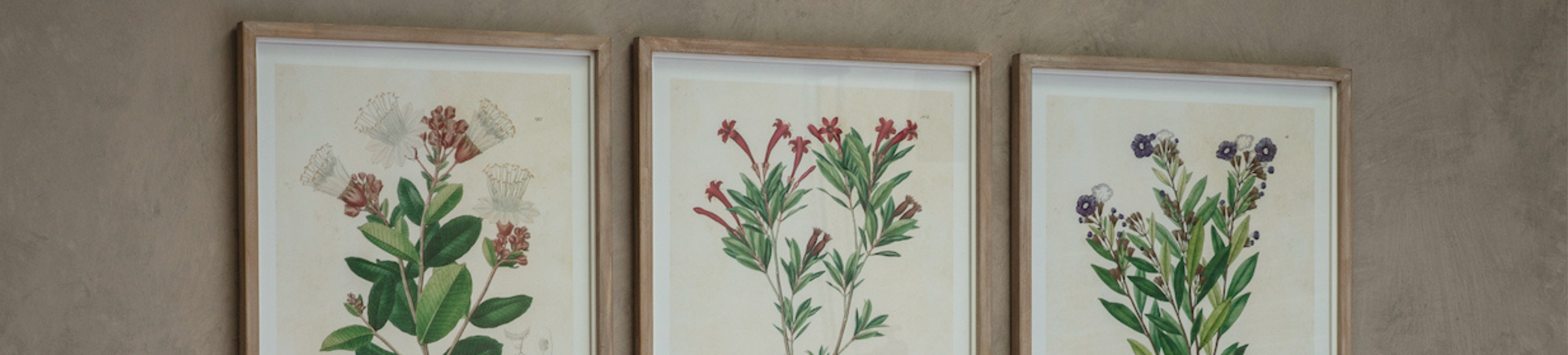 Bestselling Wall Art