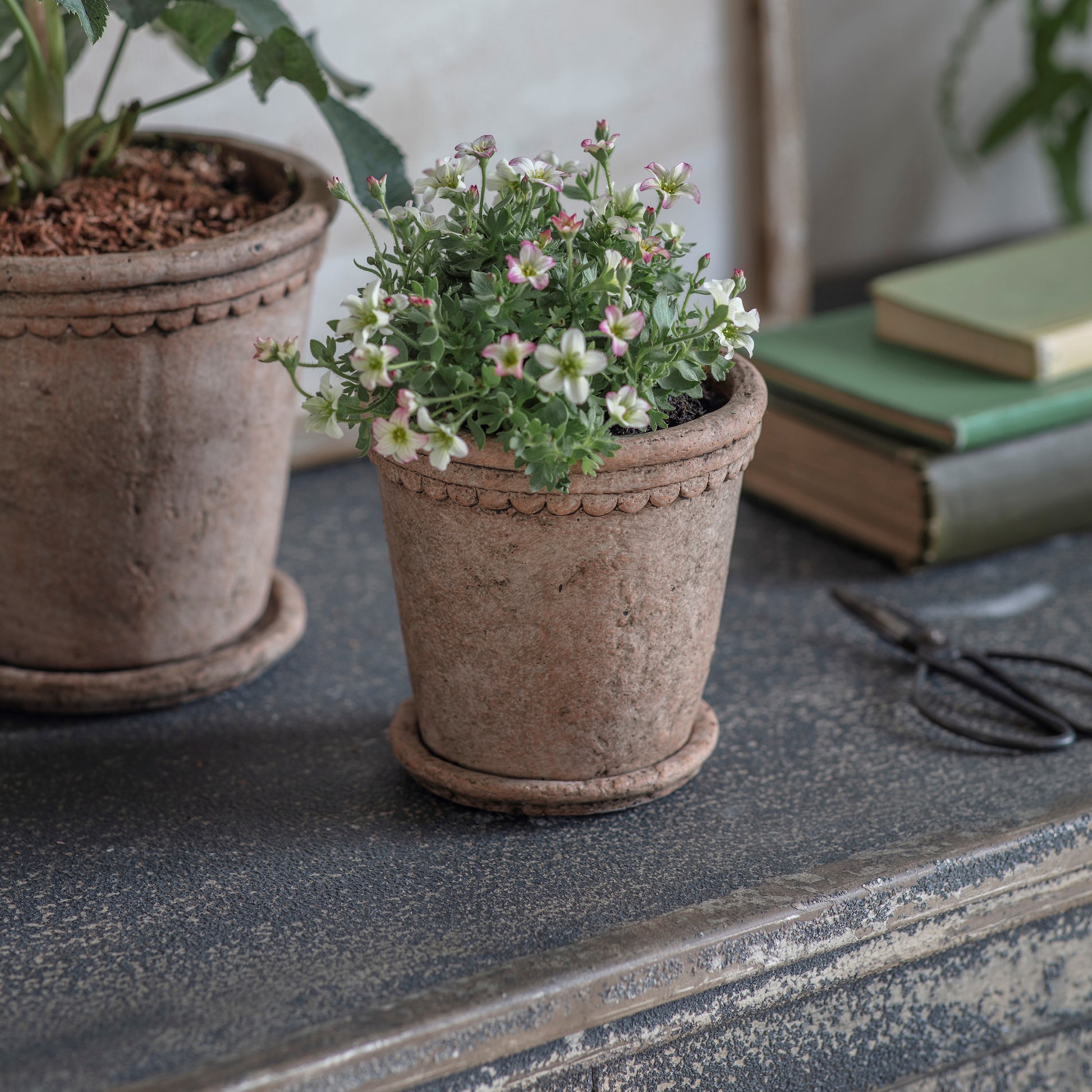 Milston Planter