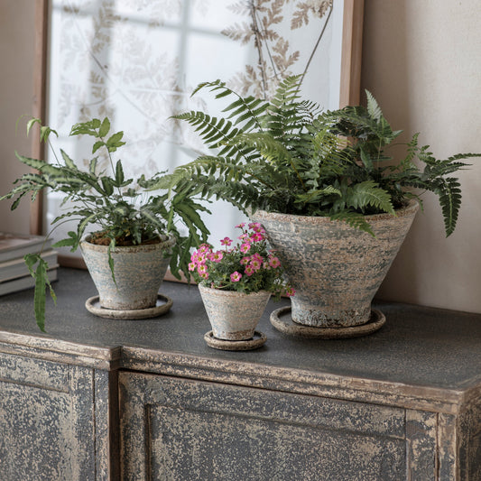 Colerne Planter