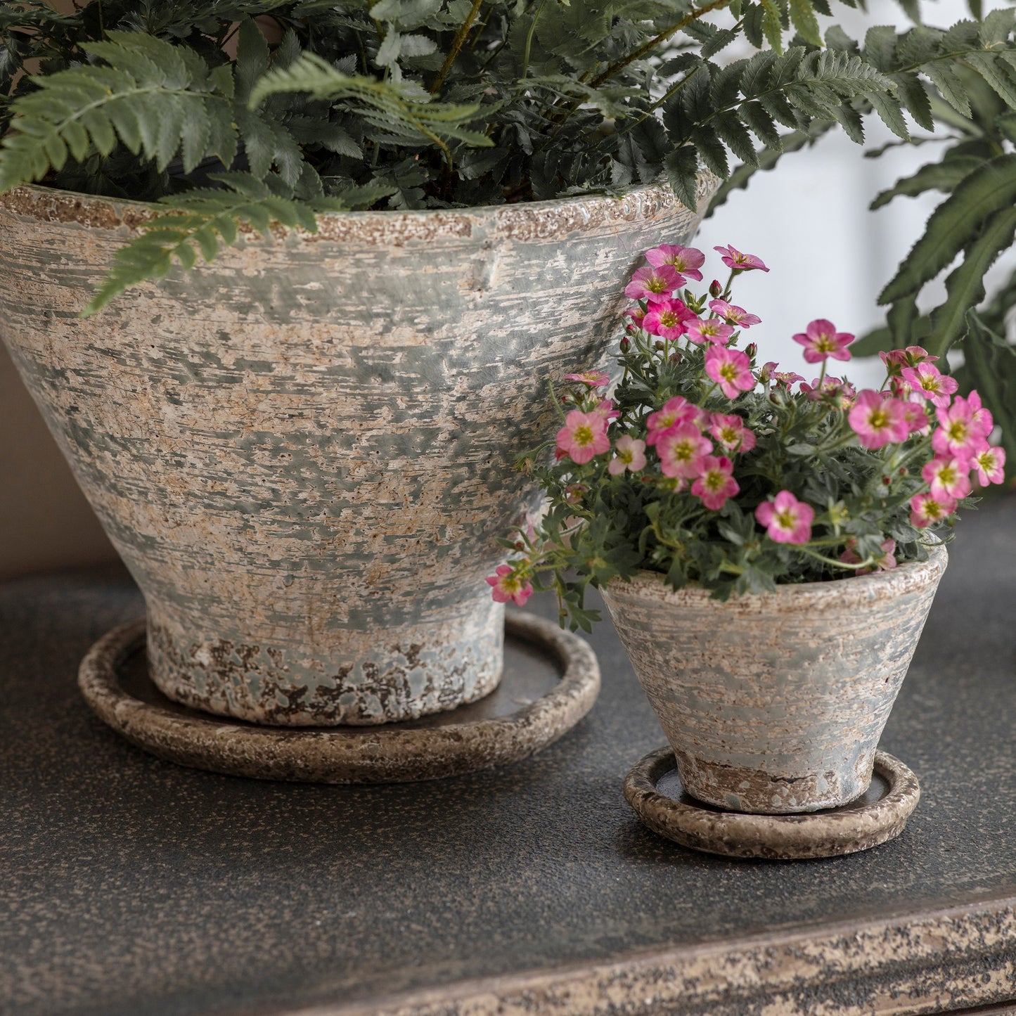 Colerne Planter