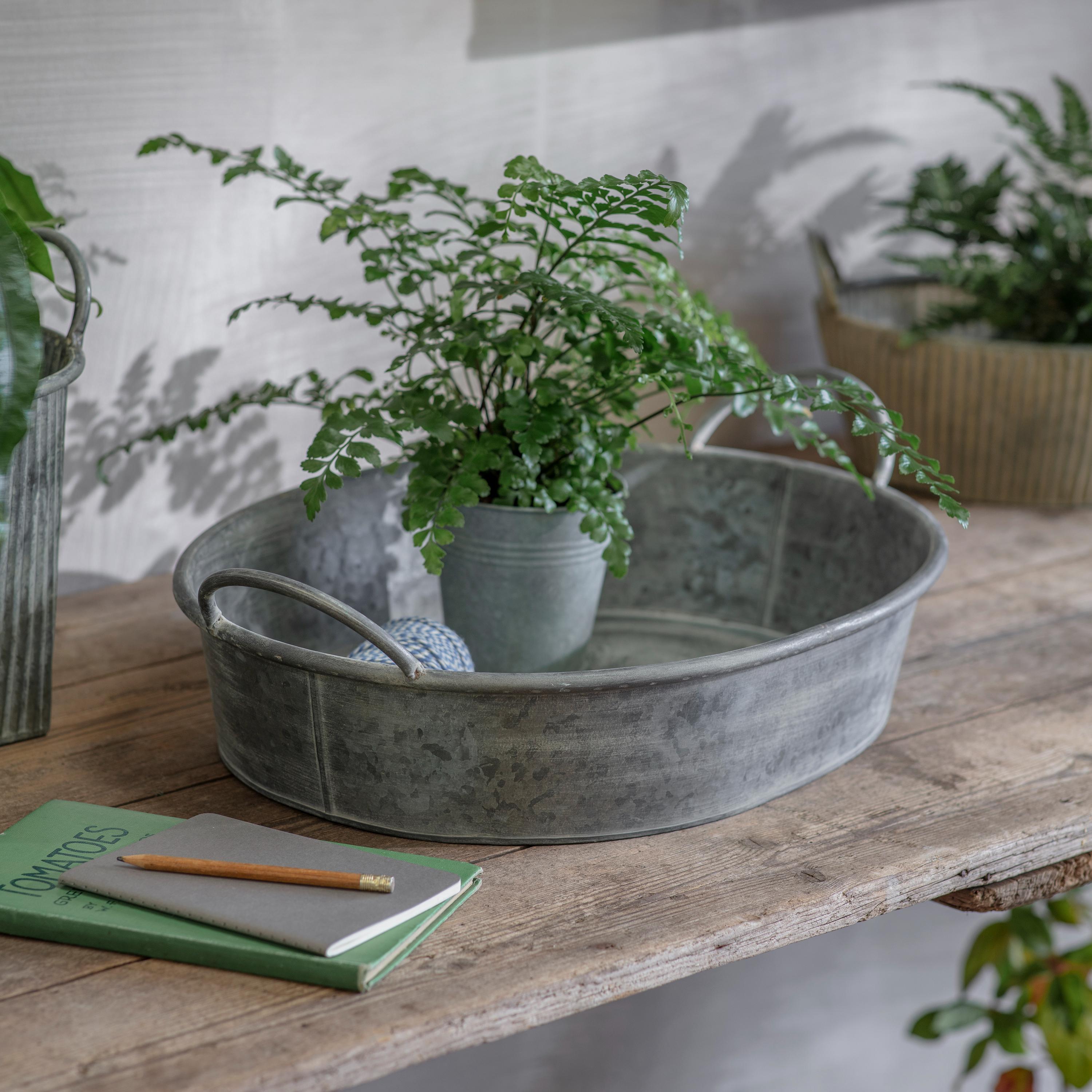 large oval indoor planter Hawthorn Large Oval Shallow Planter – One.World