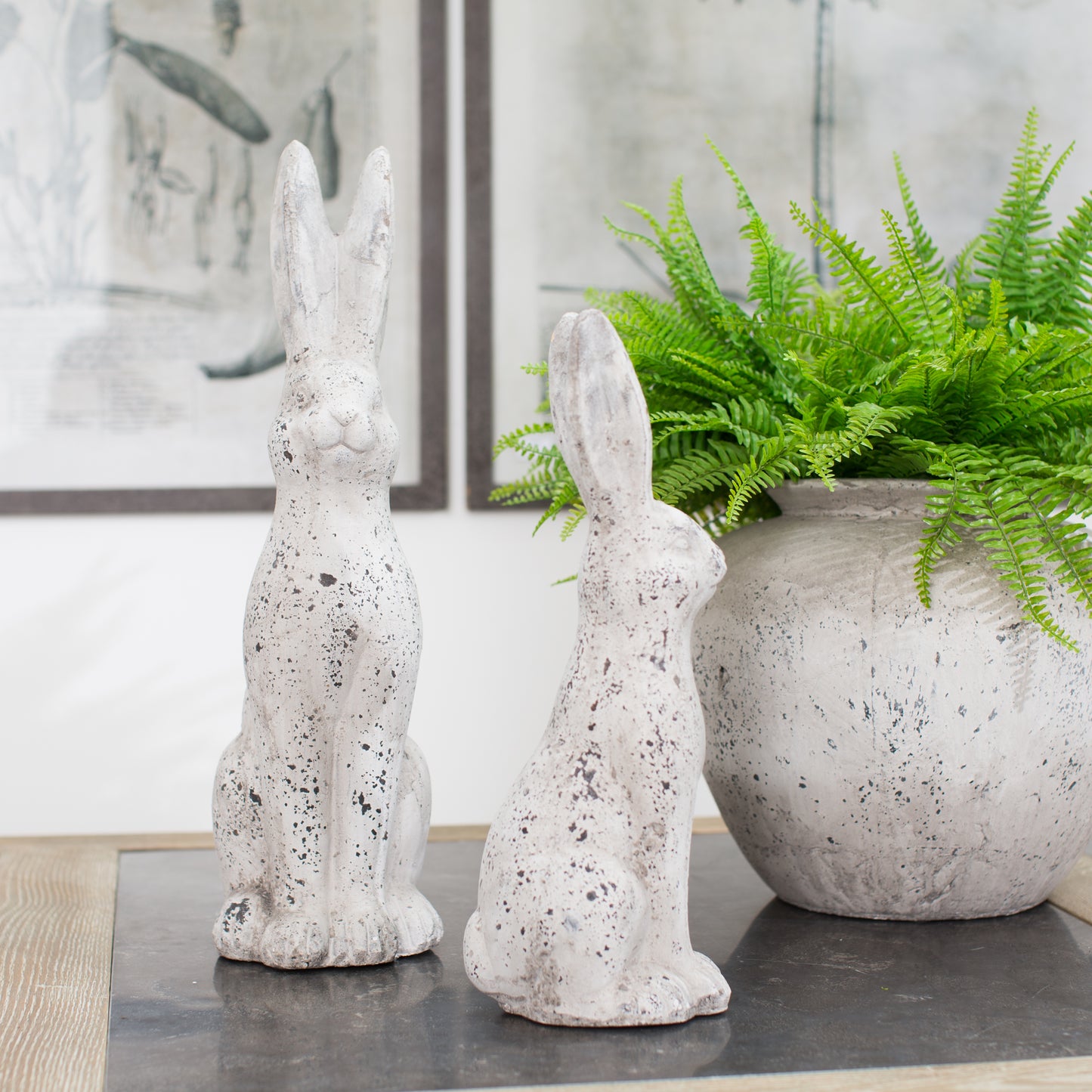 Birkdale Sitting Bunny