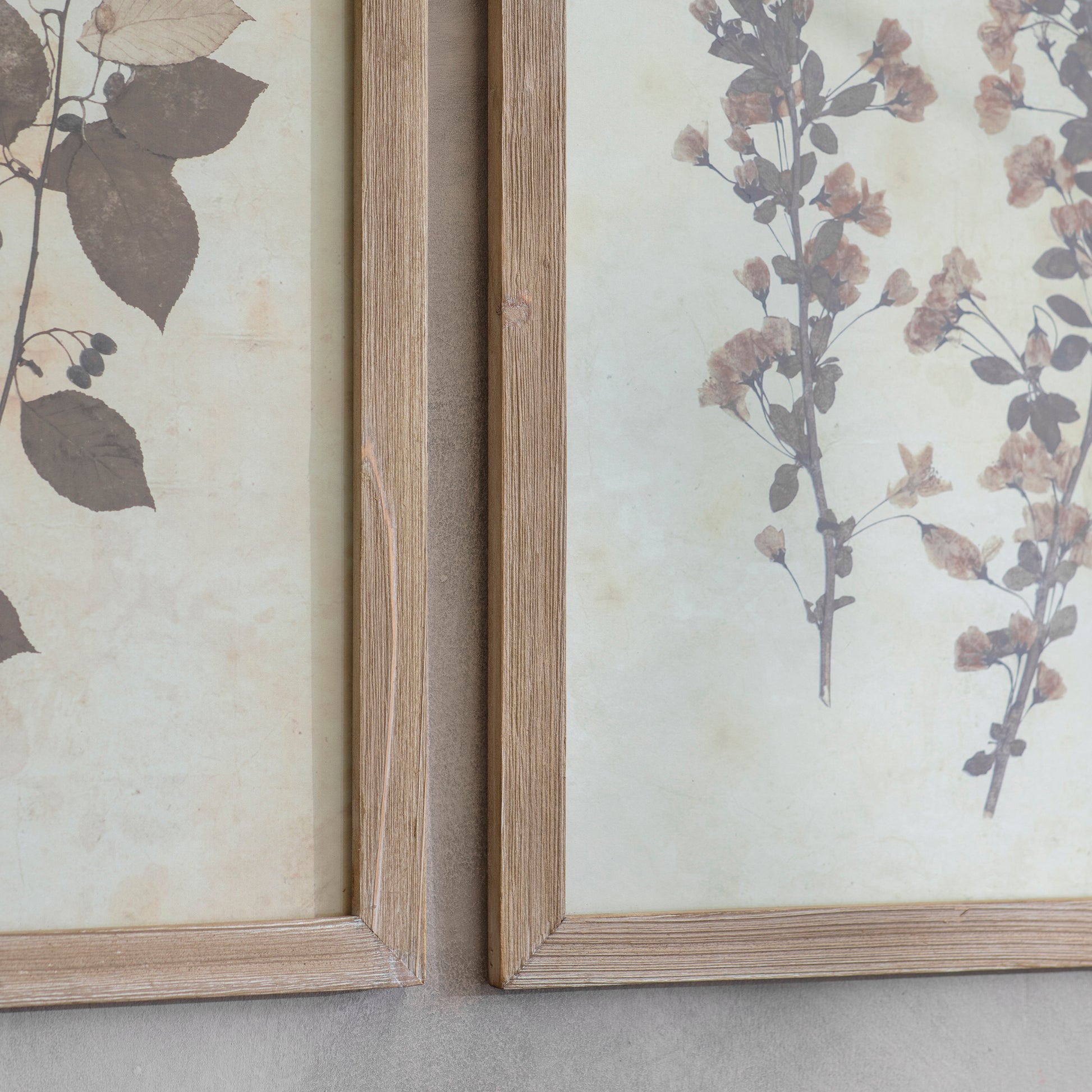 Ormington Set of 2 Ornamental Leaf Framed Prints