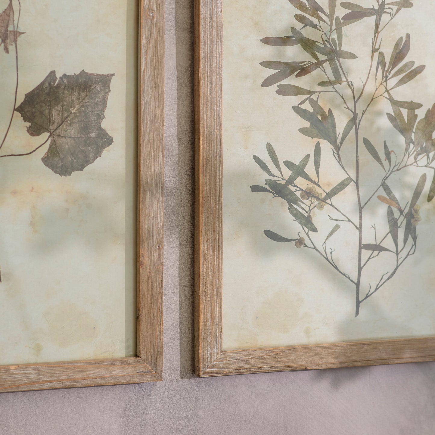 Ormington Set of 2 Decorative Leaf Framed Prints
