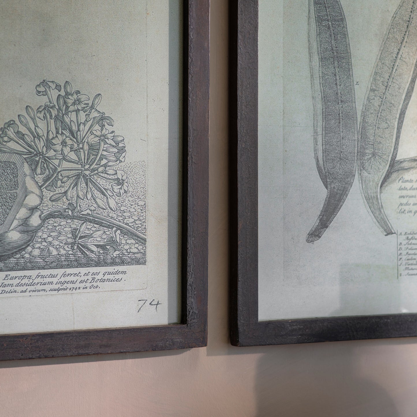 Ormington Set of 2 Papaya Framed Prints