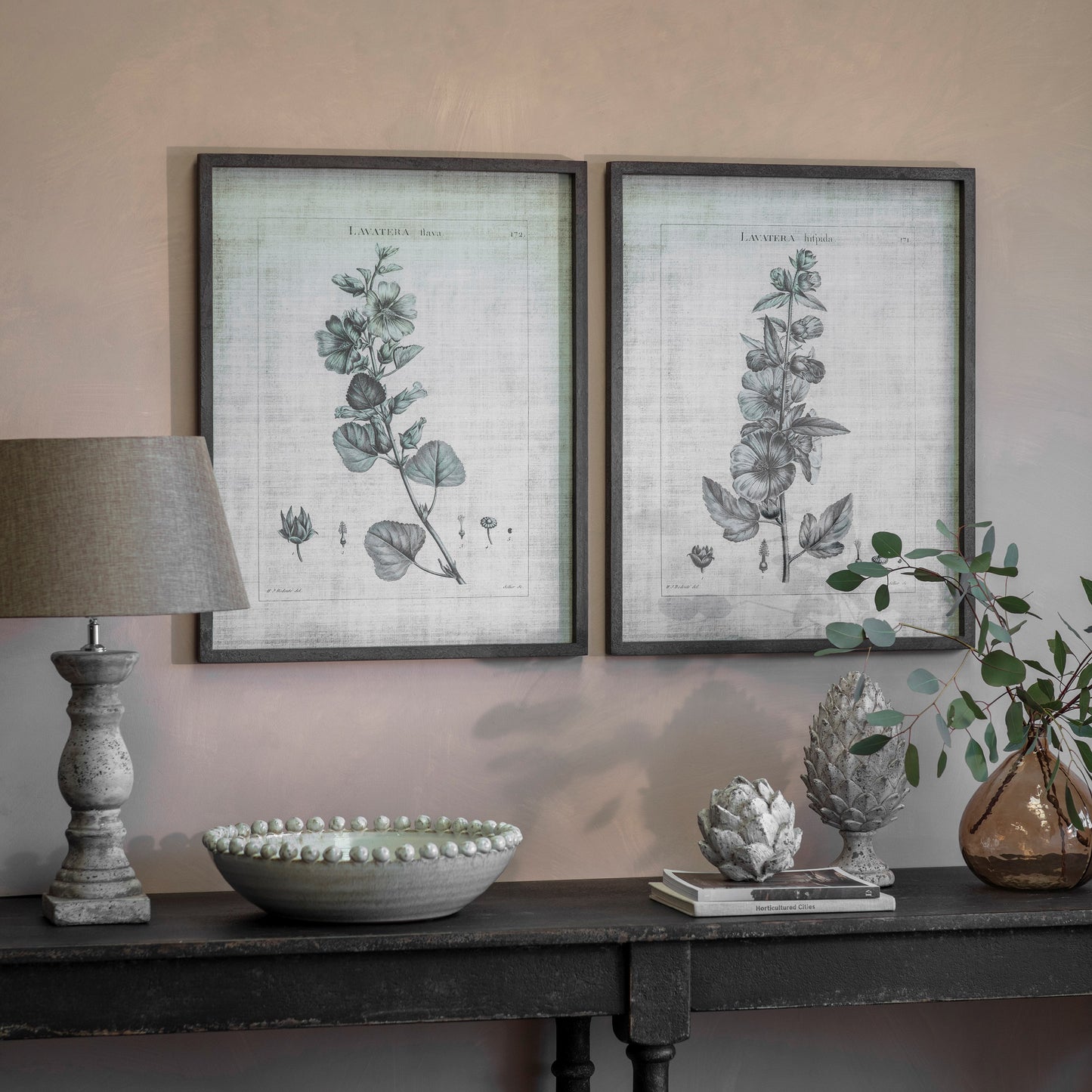 Ashmore Set of 2 Lavatera Framed Prints