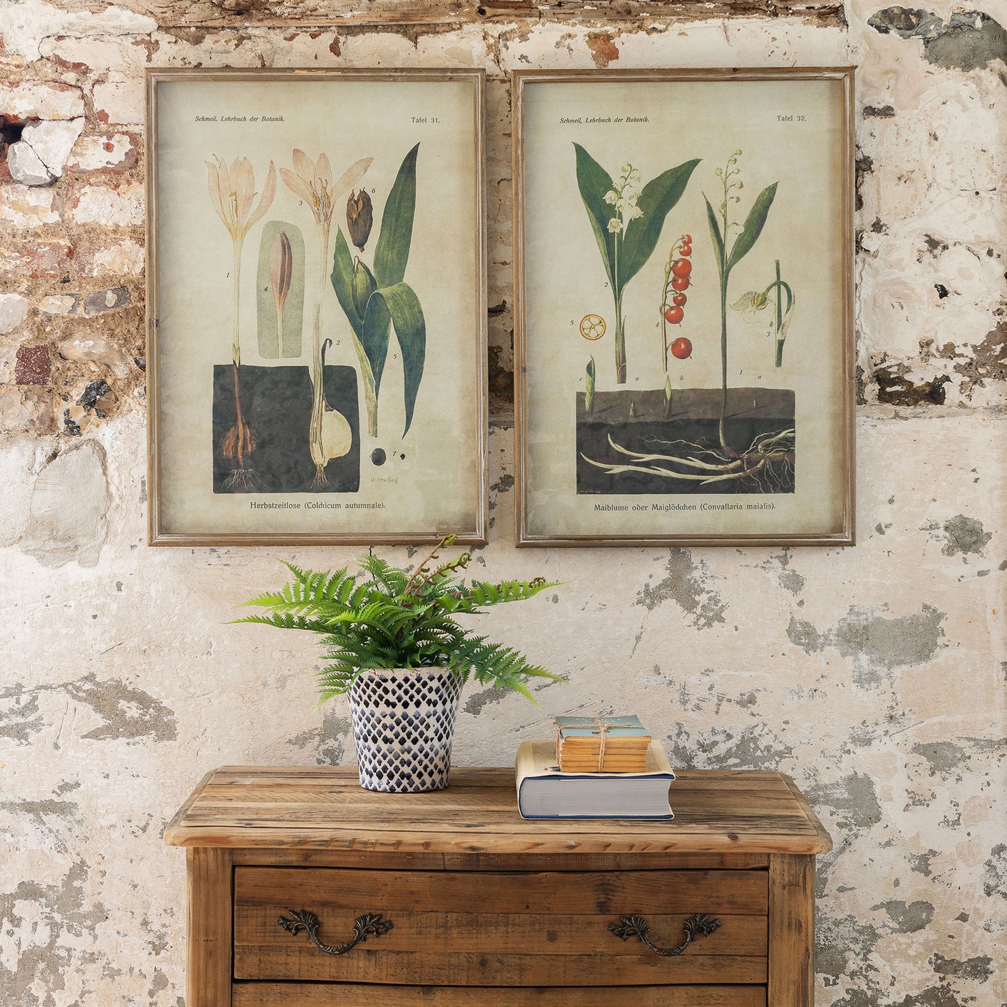 Brookby Set of 2 Lily and Crocus Framed Prints