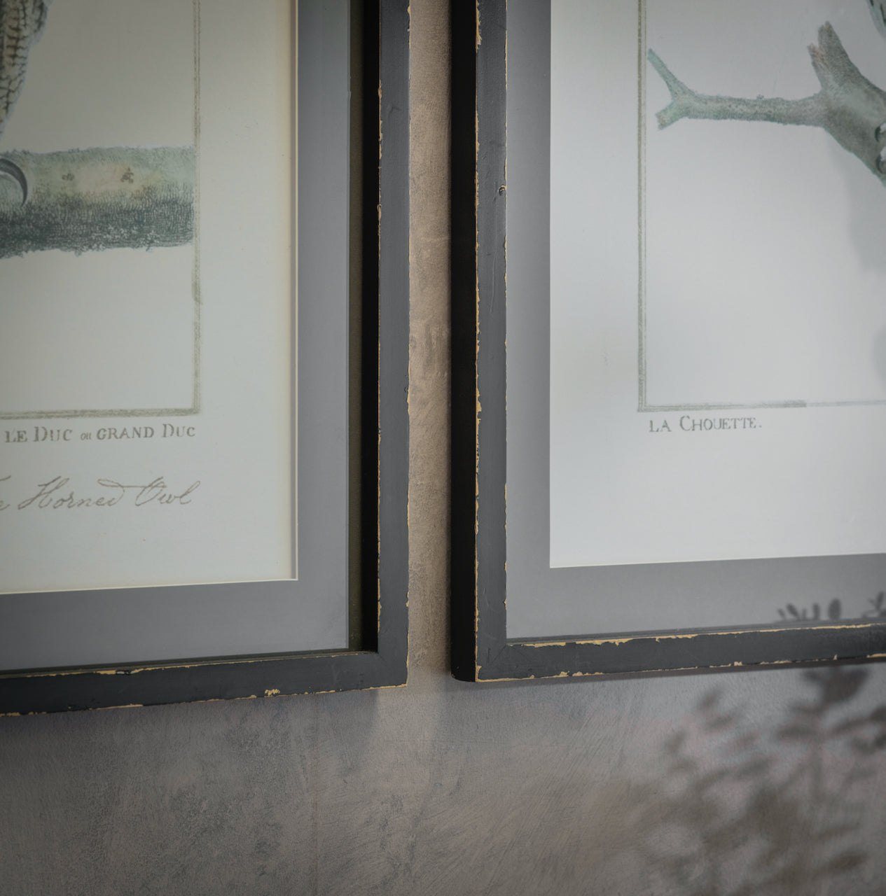 Moreton Set of 2 Owl Framed Prints