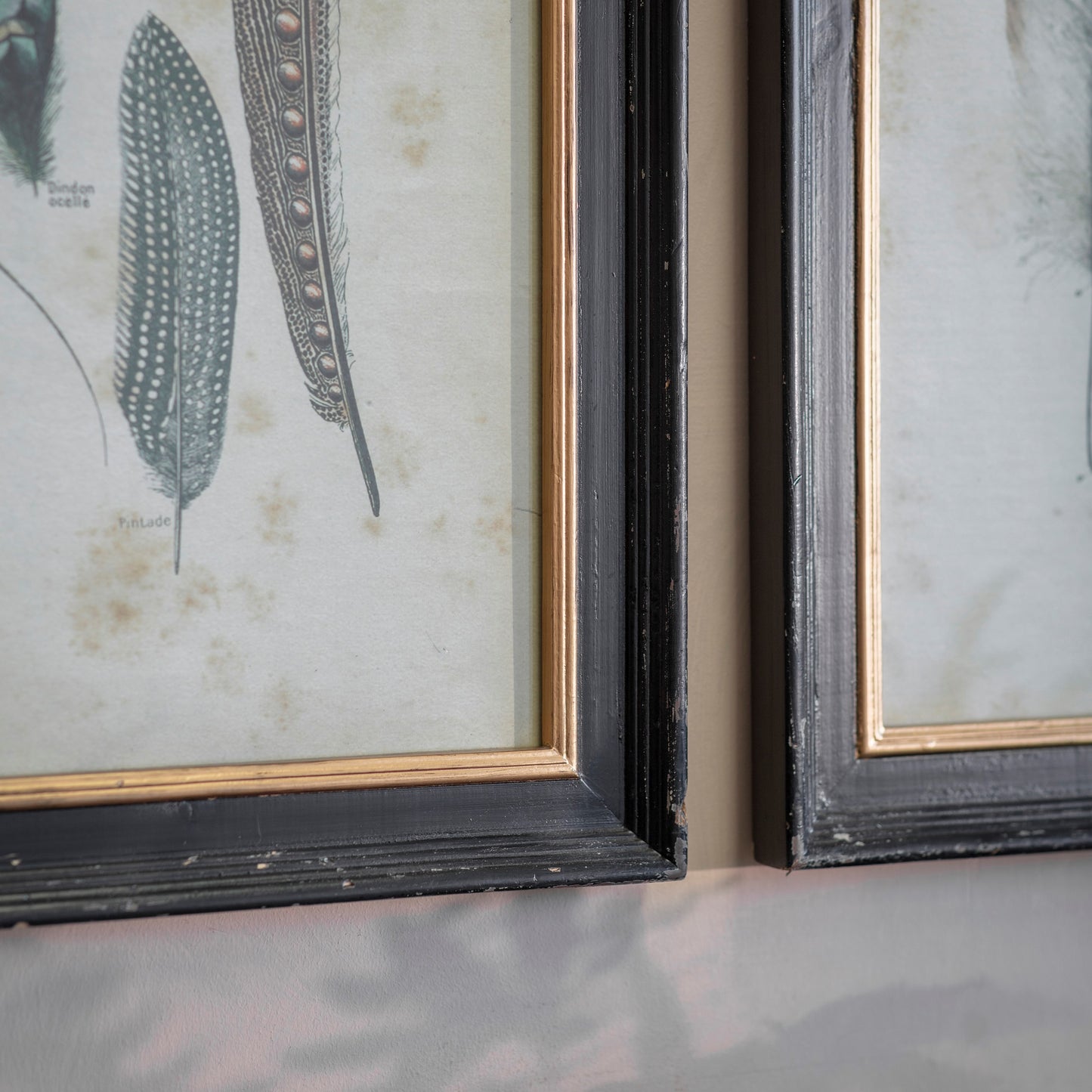 Moreton Set of 2 Feather Framed Prints