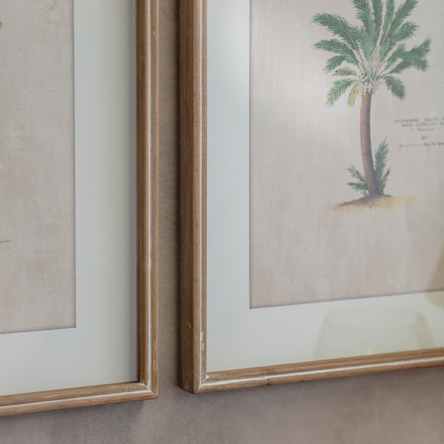 Ashmore Set of 4 Tropical Framed Prints