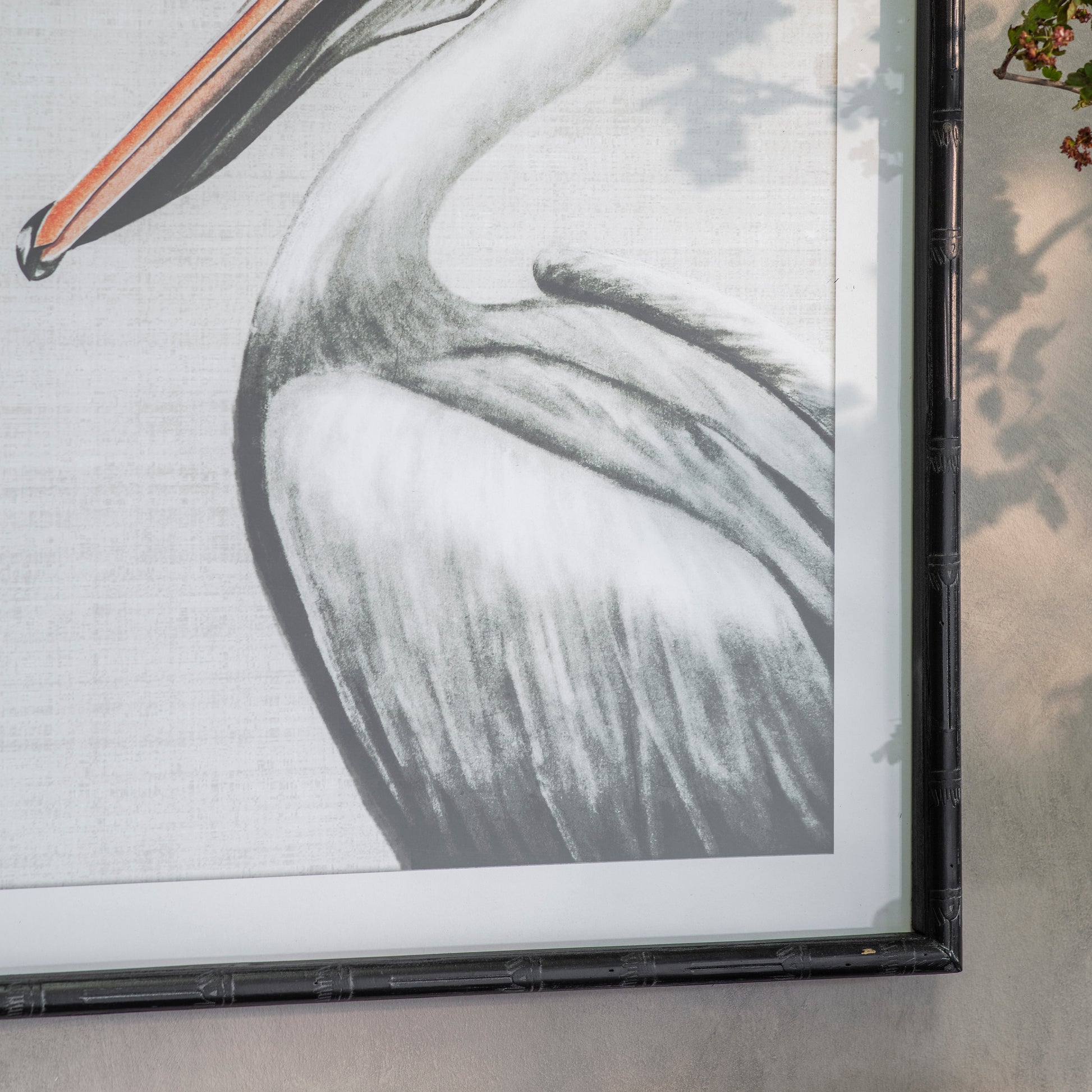 Moreton Set of 2 Pelican Framed Prints