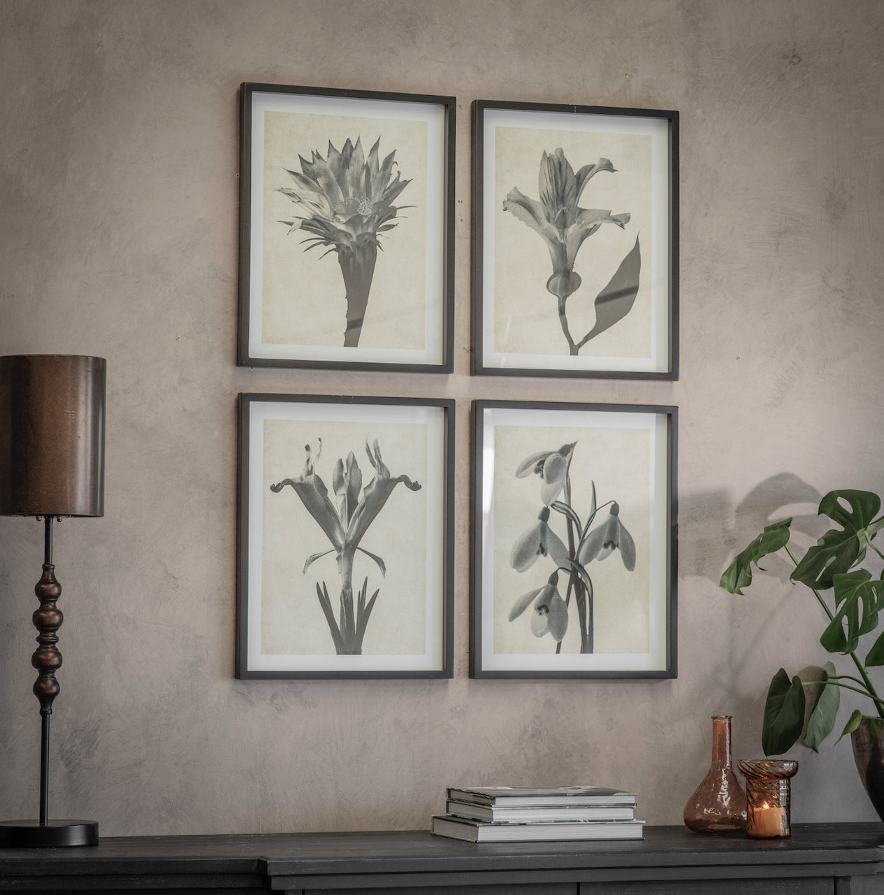 Ormington Set of 4 Flowering Bulb Framed Prints