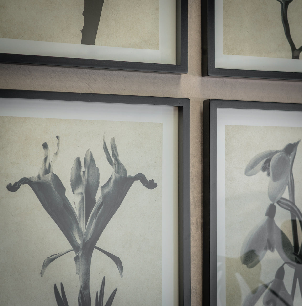 Ormington Set of 4 Flowering Bulb Framed Prints