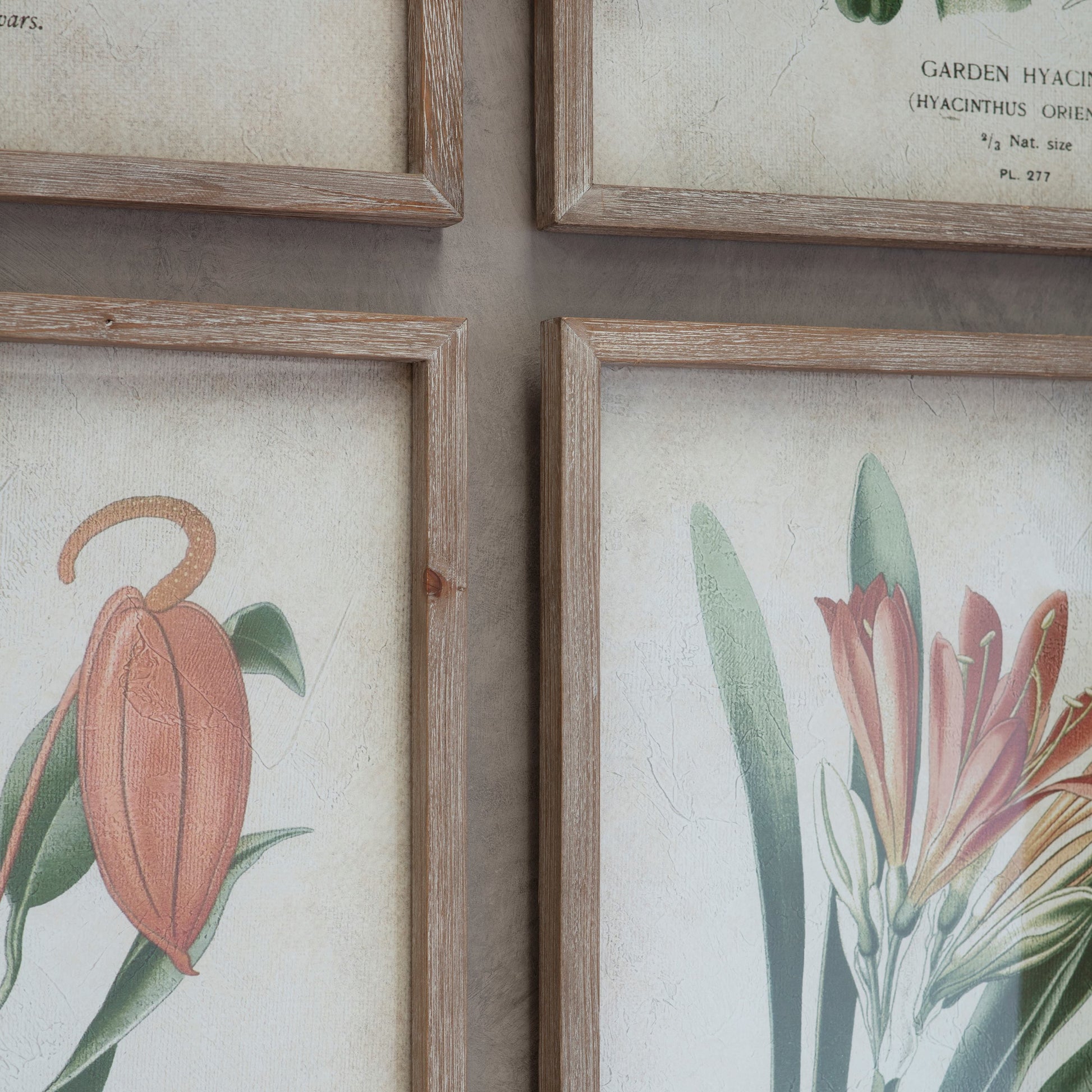 Ormington Set of 4 Botanical Framed Prints