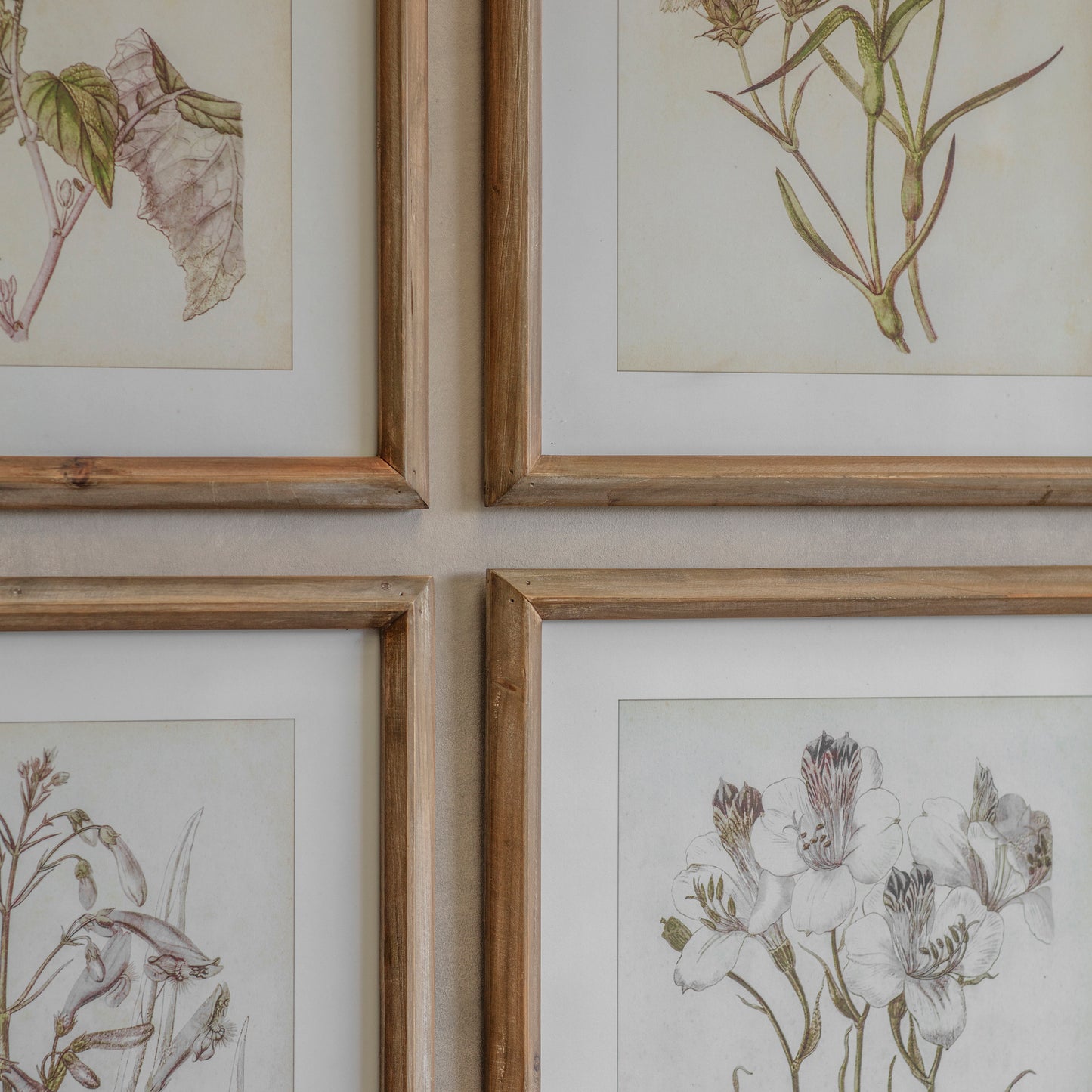 Ormington Set of 6 Lavender Framed Prints