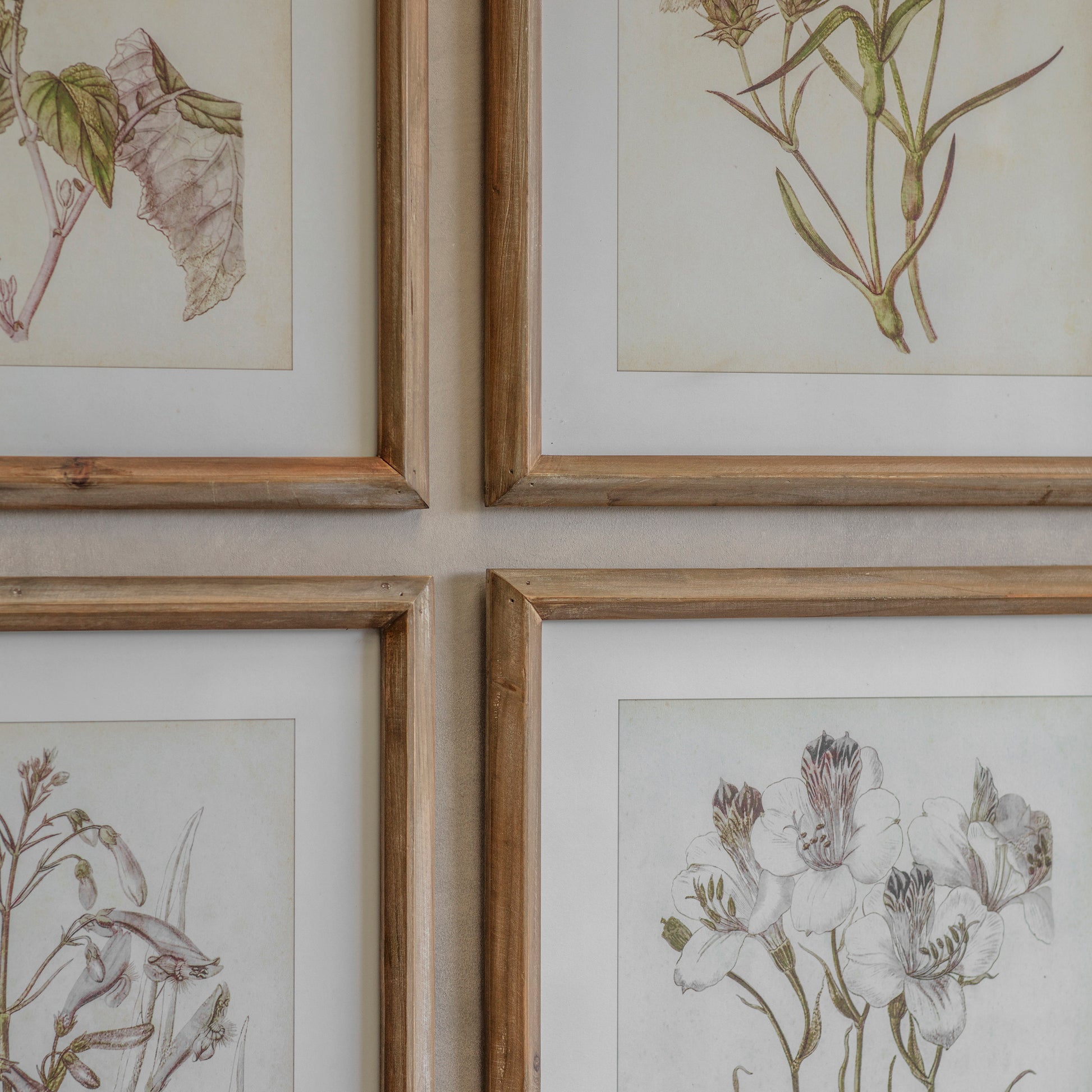 Ormington Set of 6 Lavender Framed Prints