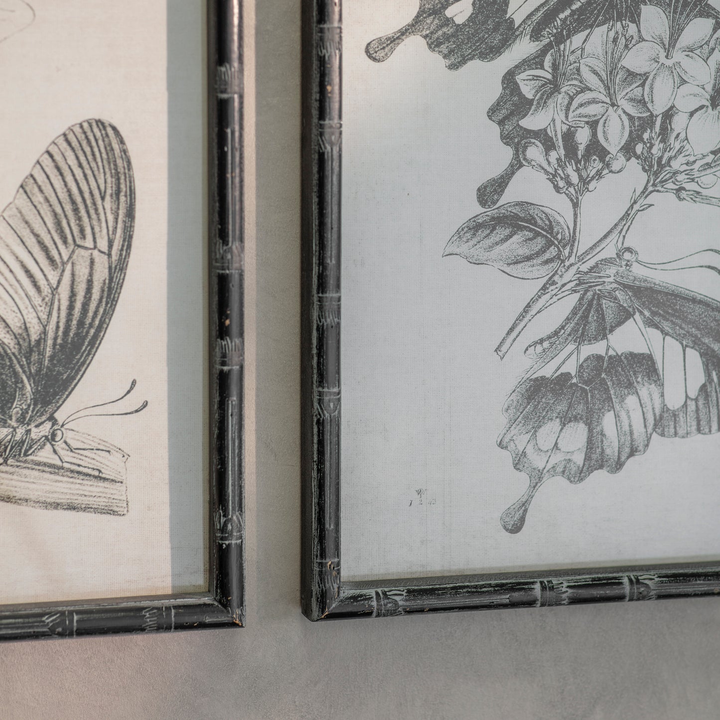 Woodstock Set of 4 Butterfly Framed Prints