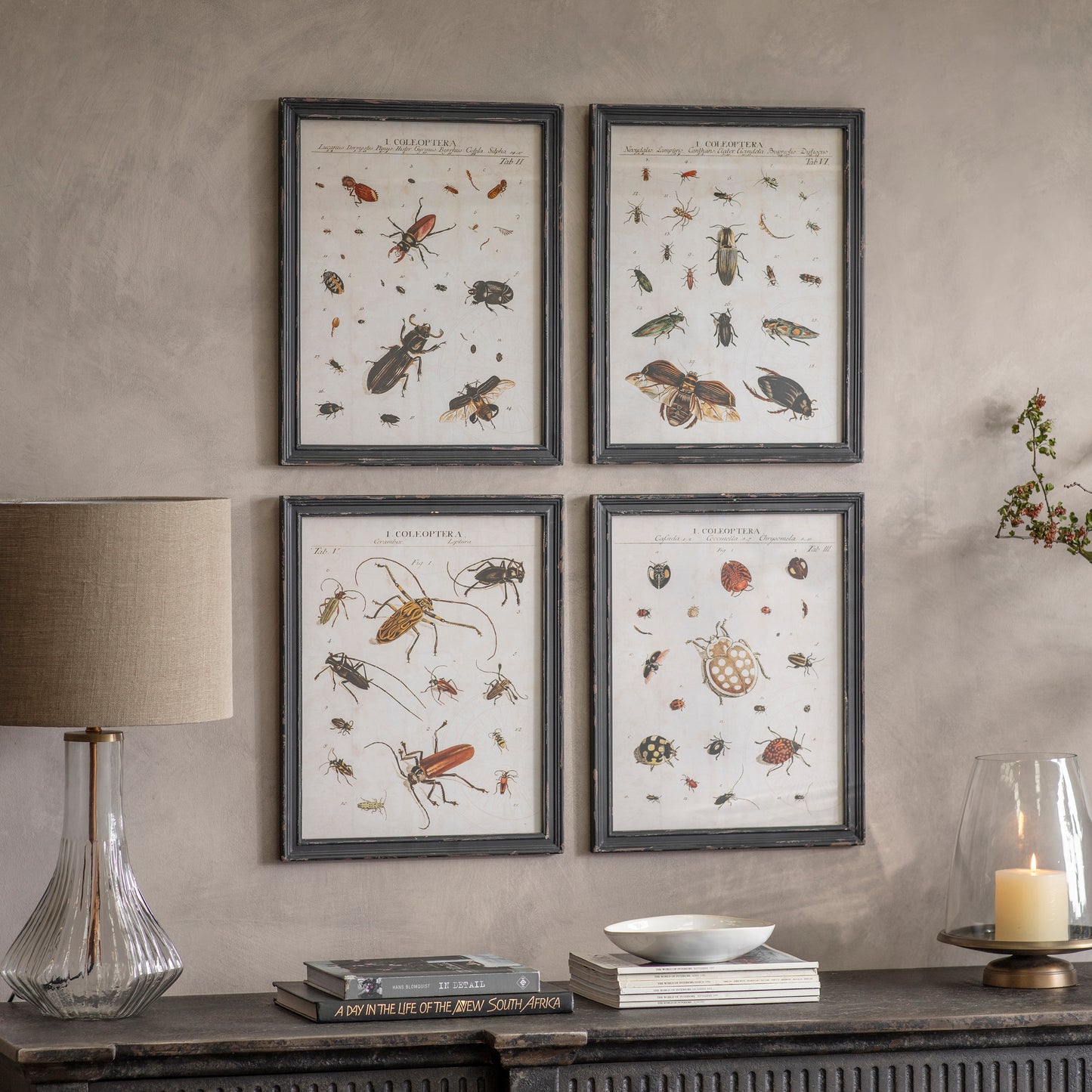 Woodstock Set of 4 Insect Framed Prints