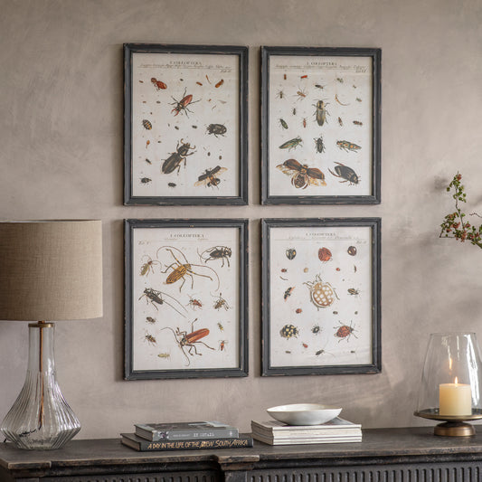 Woodstock Set of 4 Insect Framed Prints