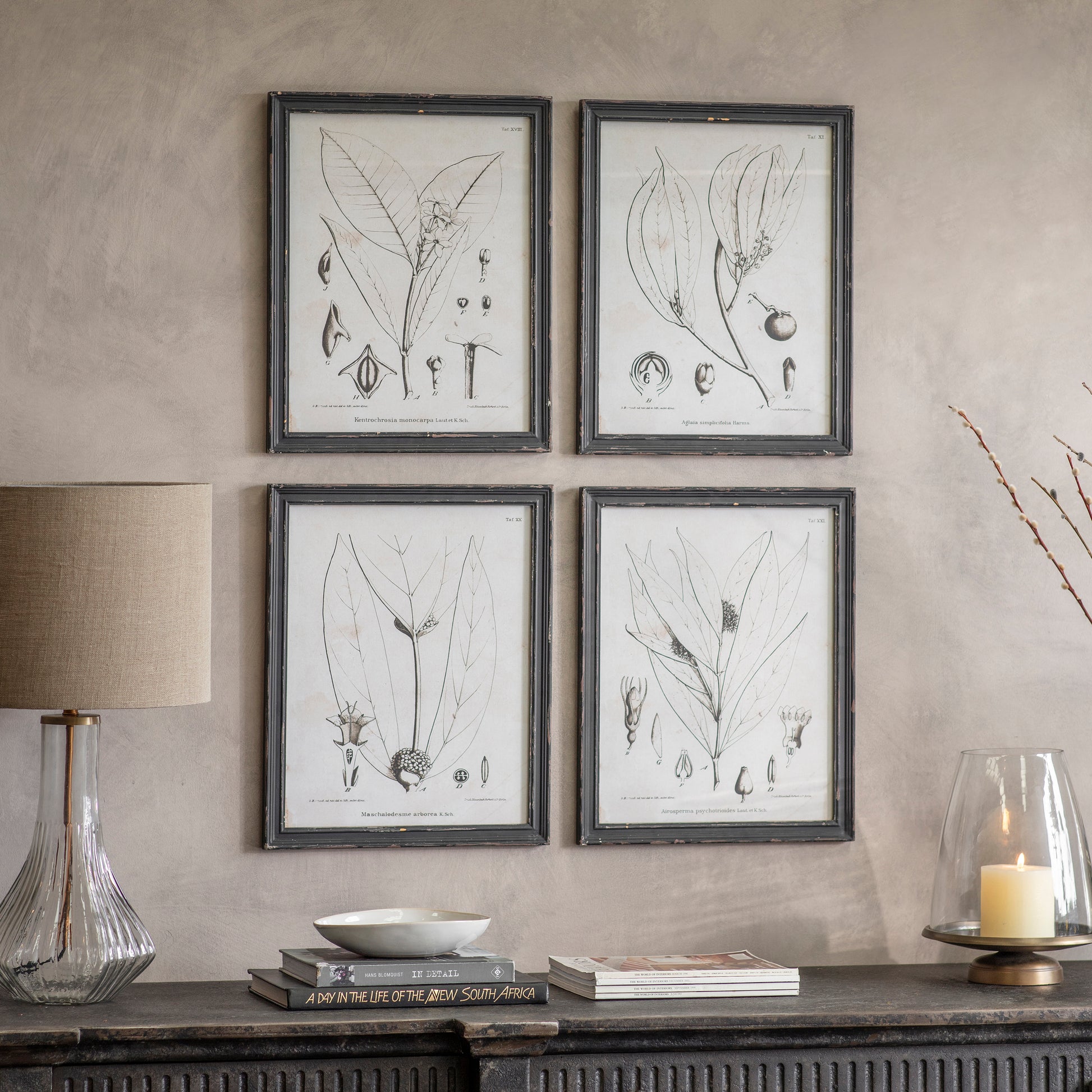 Ashmore Set of 4 Monochrome Botanical Framed Prints