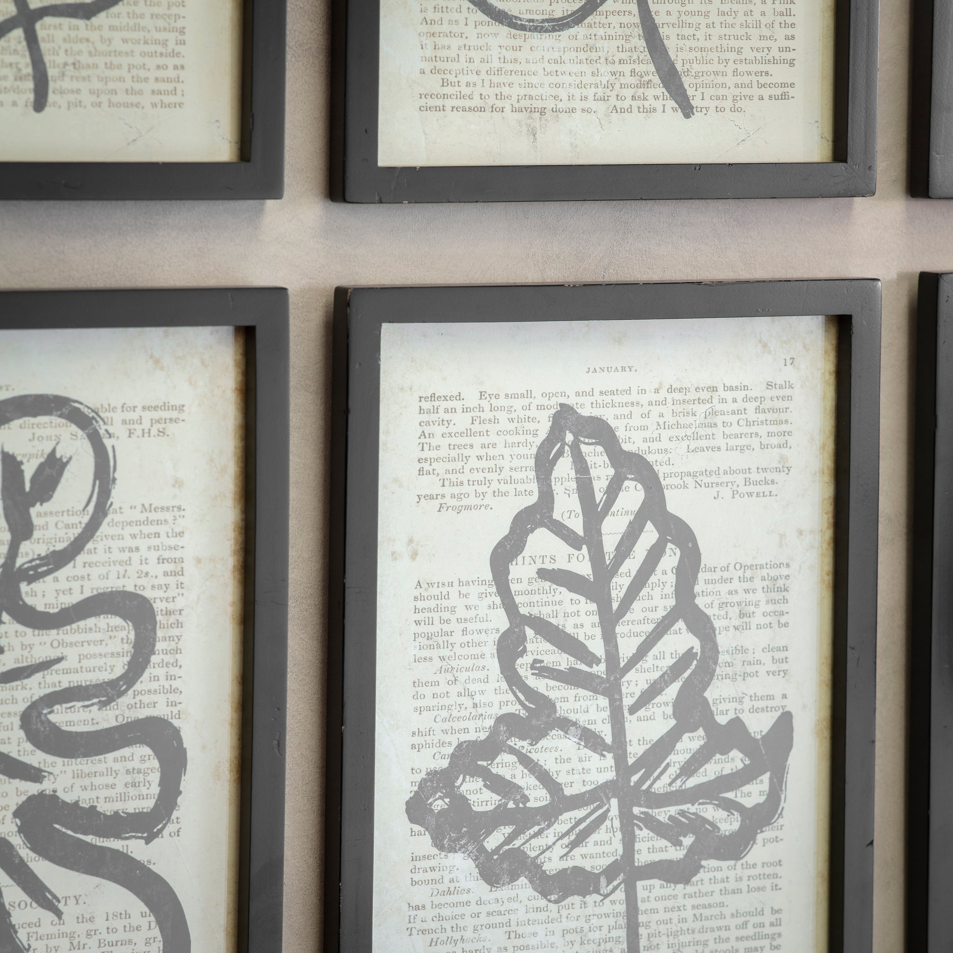 Newport Set of 2 Leaf Framed Prints