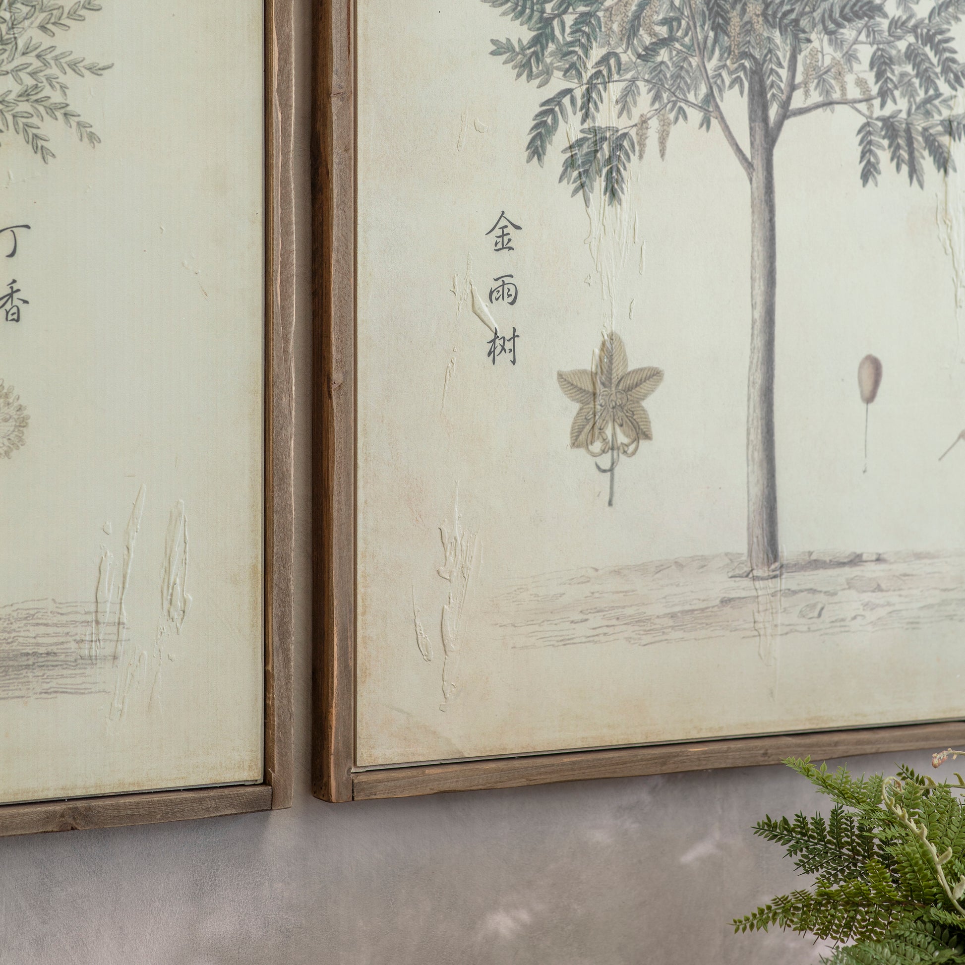 Rivington Set of 2 Chinese Tree Framed Prints