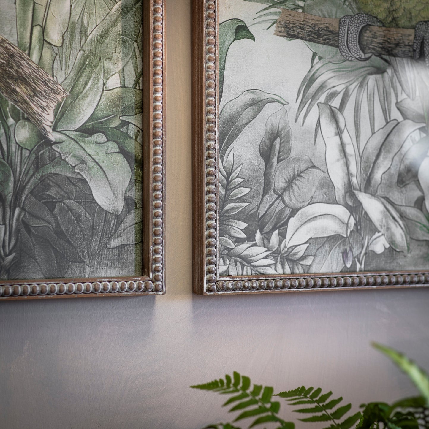 Brookby Set of 2 Parrot Wall Art