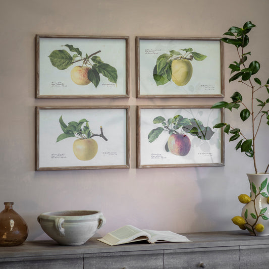 Brookby Set of 4 Apple Wall Art