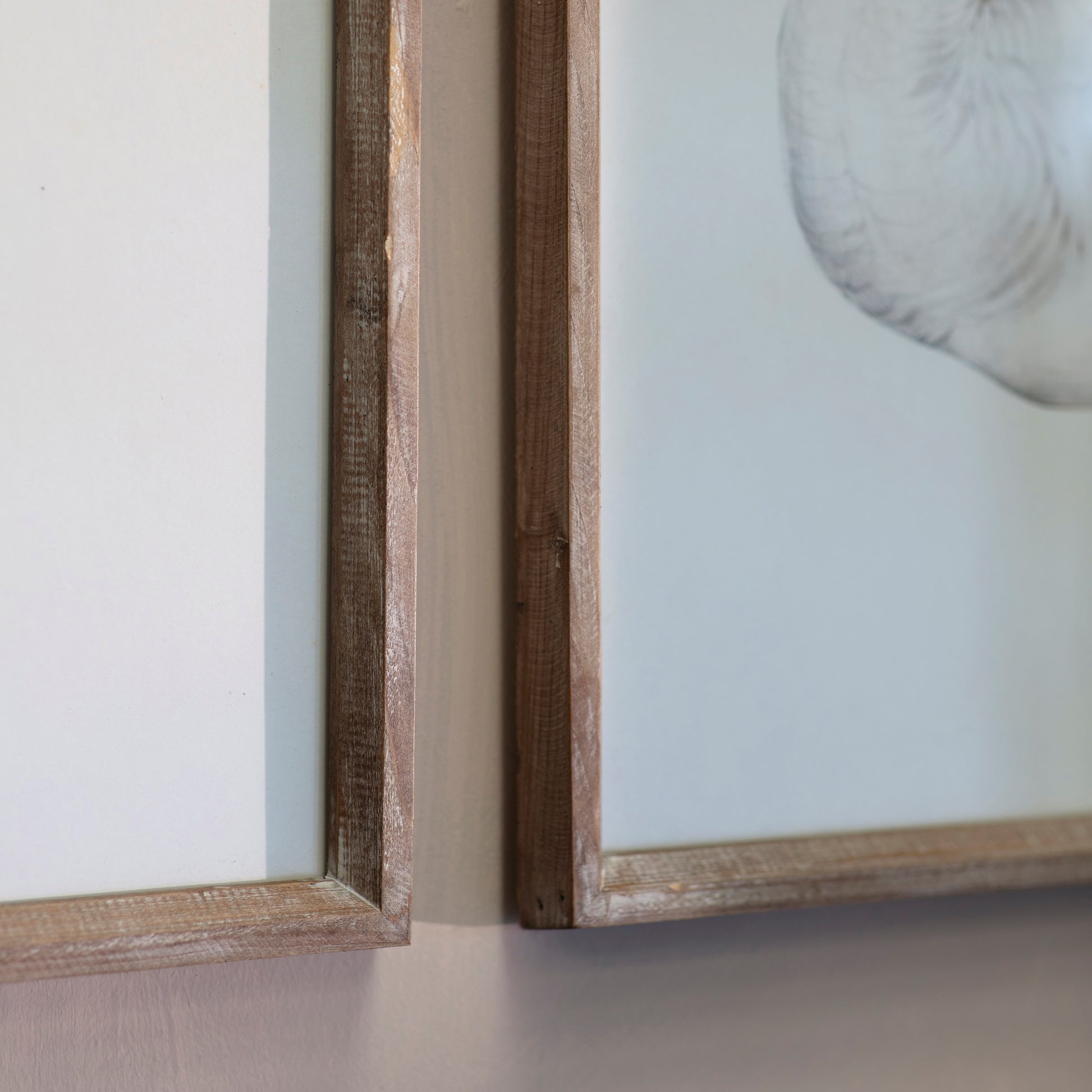Brookby Set of 2 Swan Wall Art