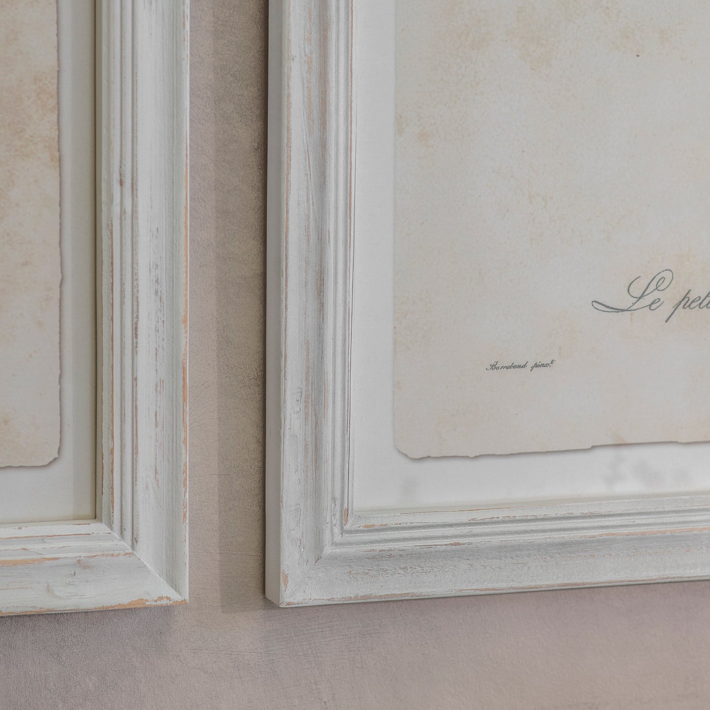 Moreton Set of 2 Becard and Barbet Framed Prints