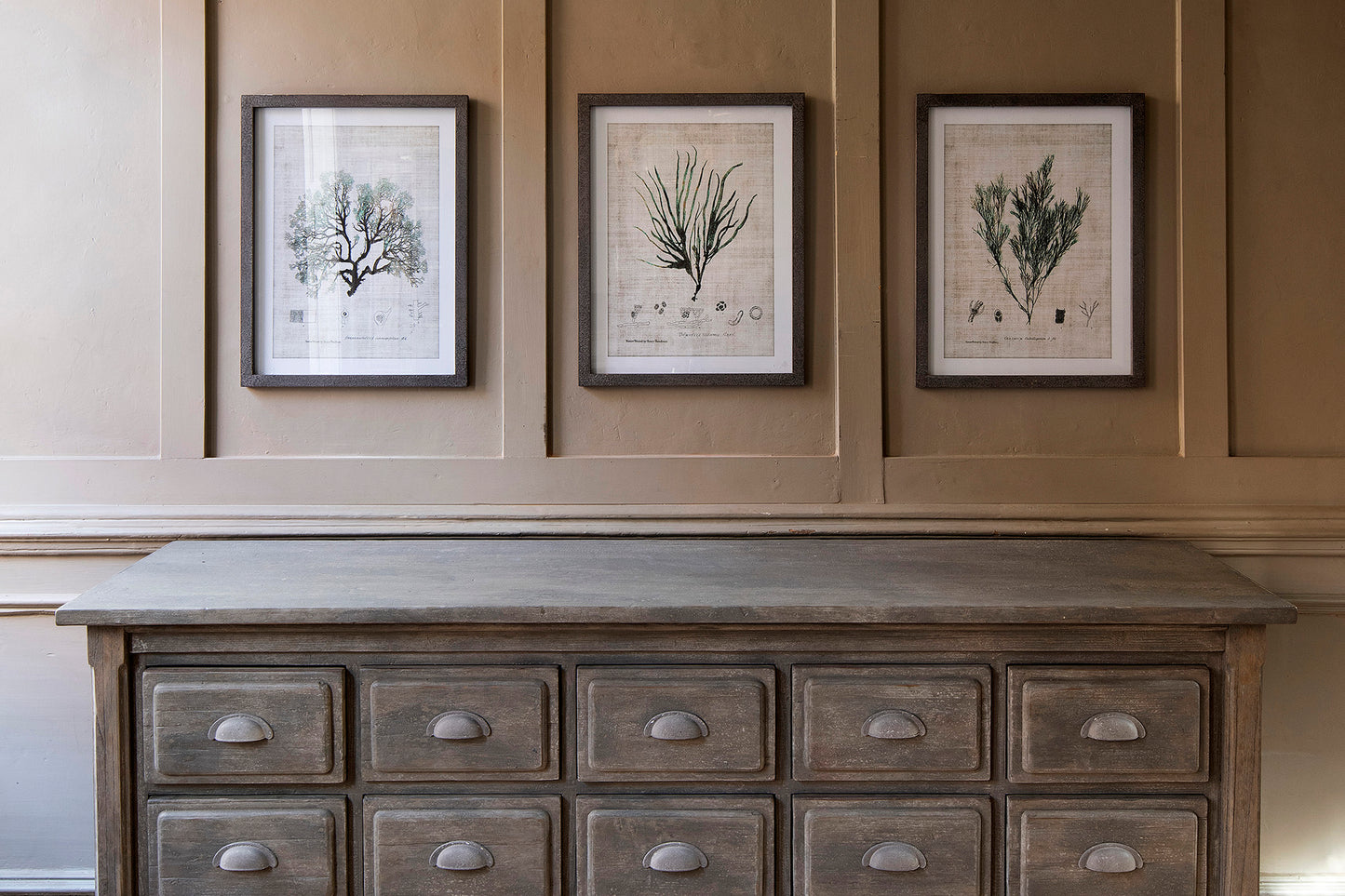 Ormington Set of 3 Botanical Framed Prints