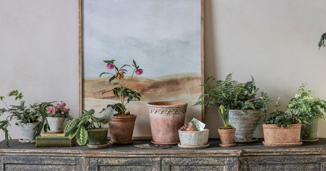 Styling Indoor Planters