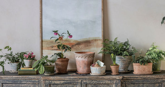 Styling Indoor Planters