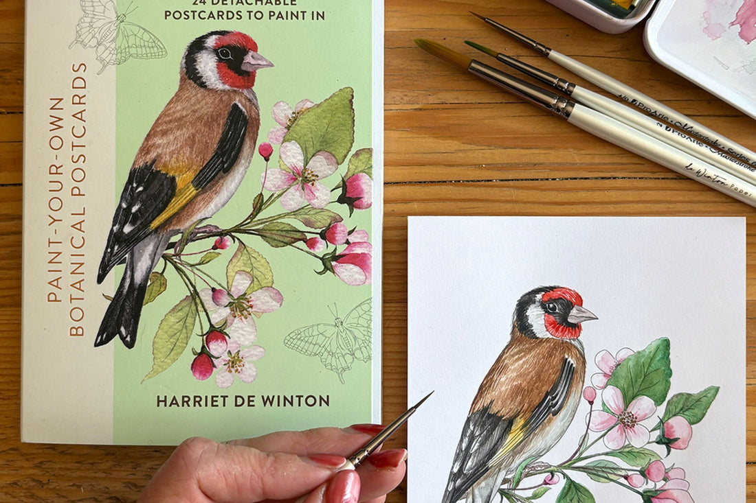 Win A Creative Bundle Worth Over £145