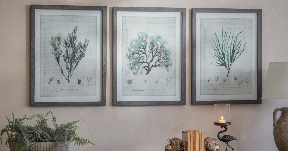 The Ormington Collection