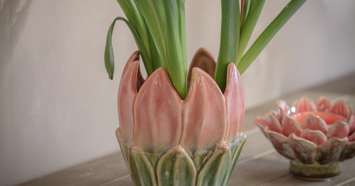 The Tresco Collection