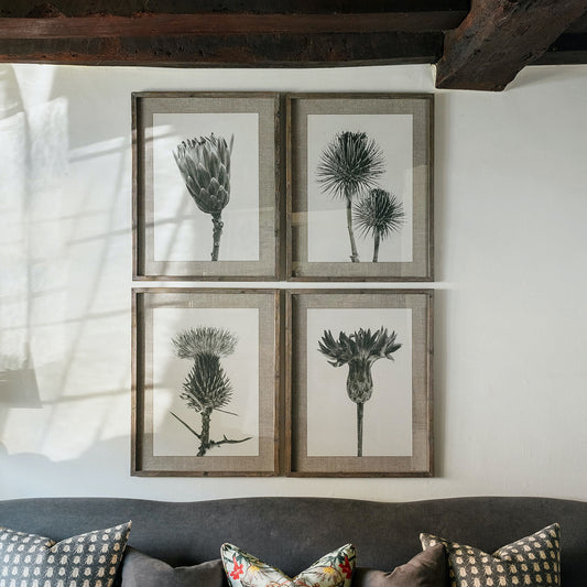 Ormington Set of 4 Poppy Framed Prints