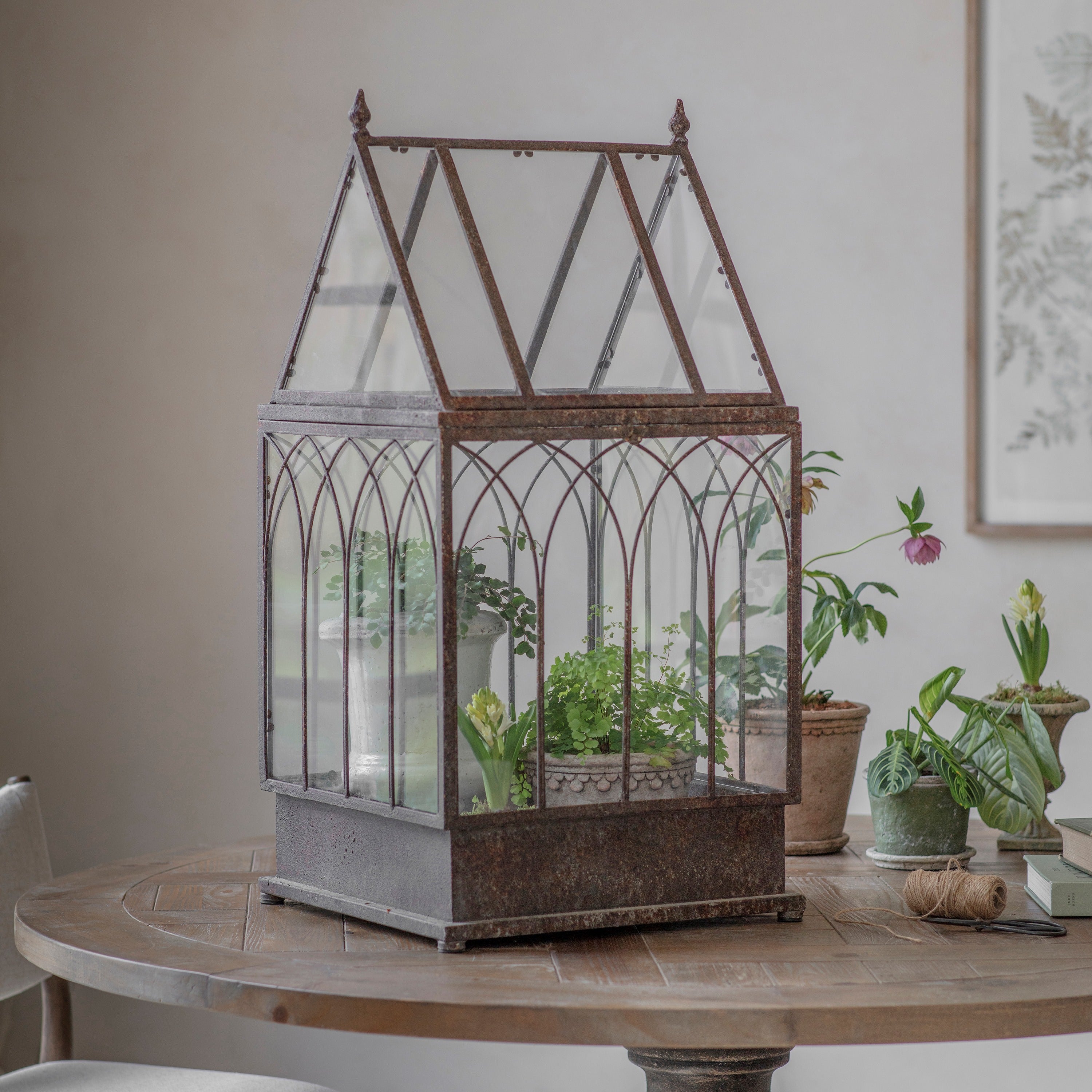 Petworth Indoor Greenhouse