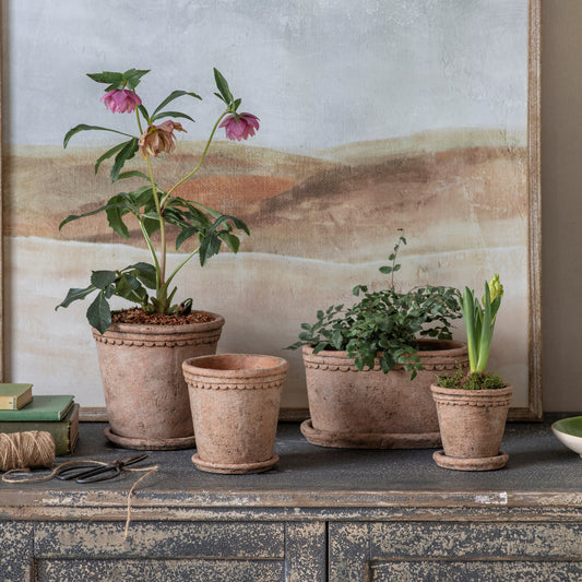 Milston Planter
