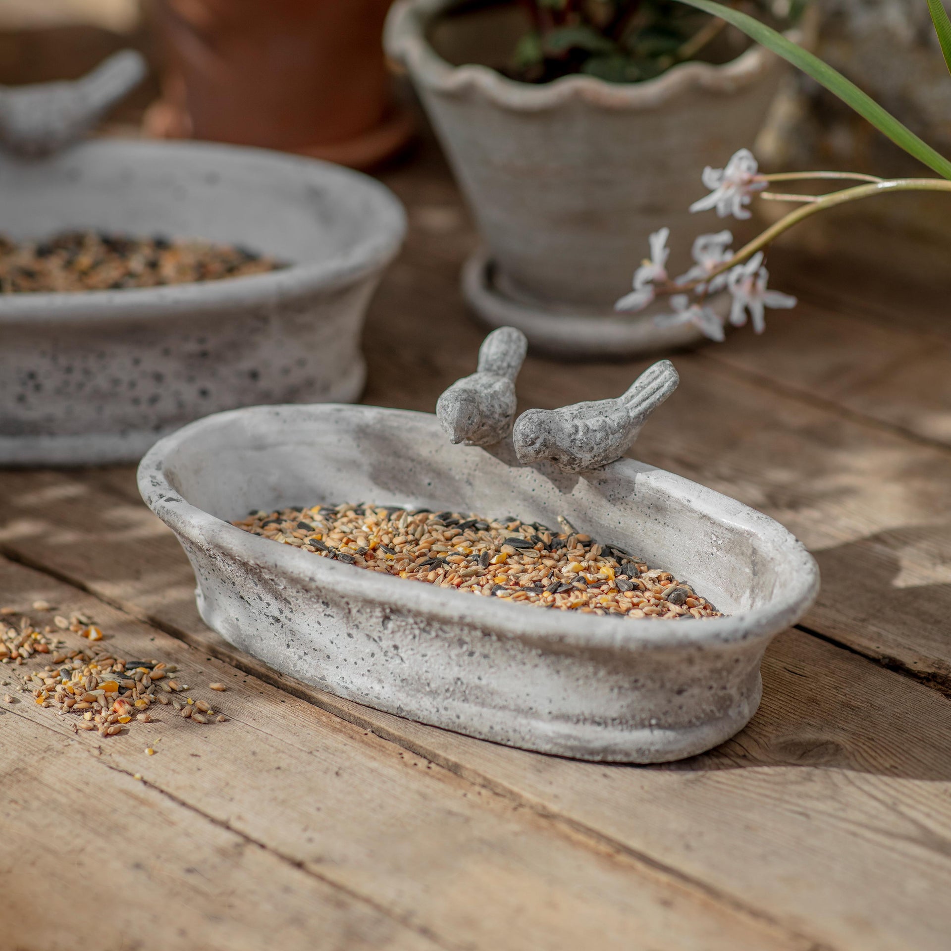 Birkdale Oval Bird Feeder