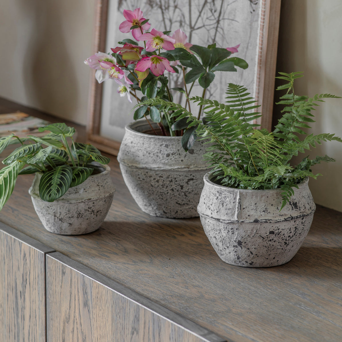 Birkdale Pot