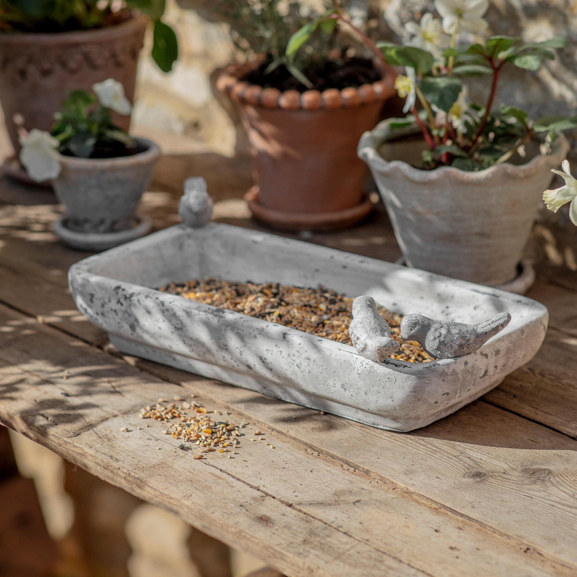Birkdale Large Rectangular Bird Feeder